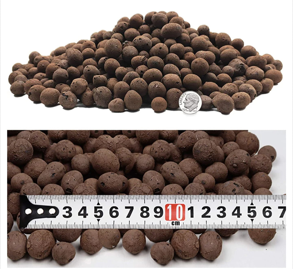 LECA Clay Balls for Jumping Spider Enclosure | Spider Terrarium Substrate | Spider Habitat | Spider Enclosure Essentials