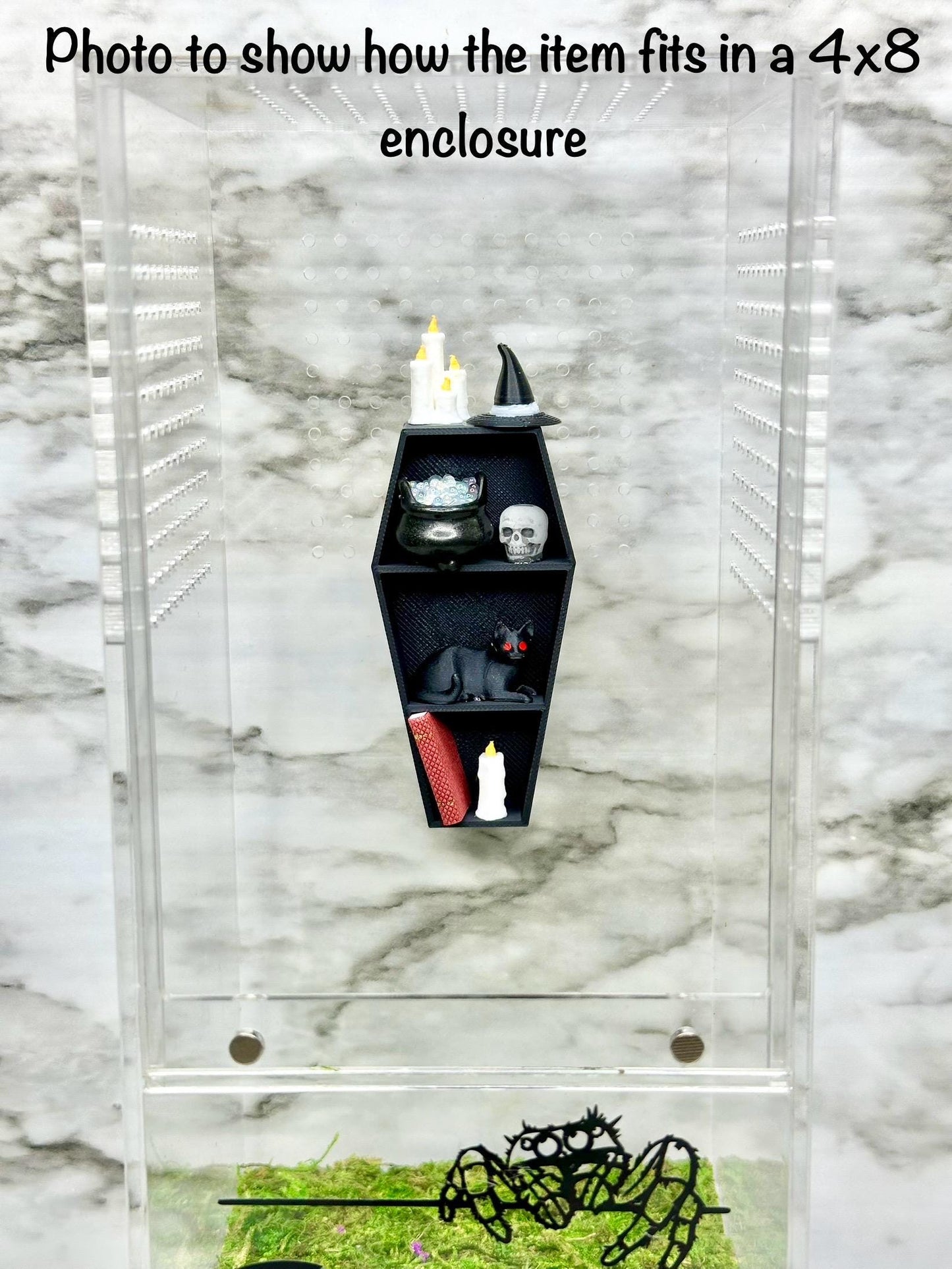 Decorated Coffin Shelf Decor | Jumping Spider Enclosure Accessory | Spider Terrarium Decoration