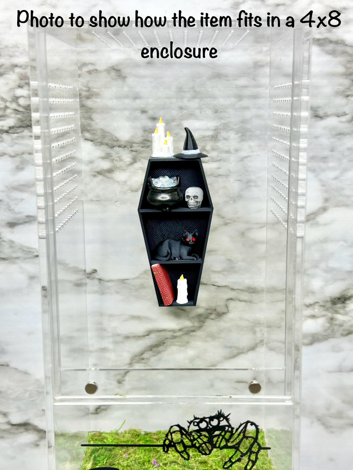 Decorated Coffin Shelf Decor | Jumping Spider Enclosure Accessory | Spider Terrarium Decoration