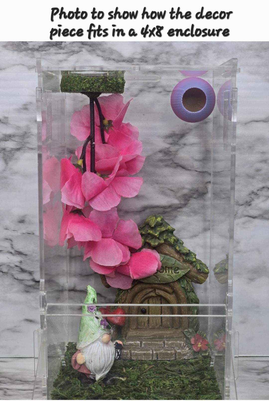 Cherry Blossom Hanging Spider Gym | Jumping Spider Exercise Playground | Spider Accessories