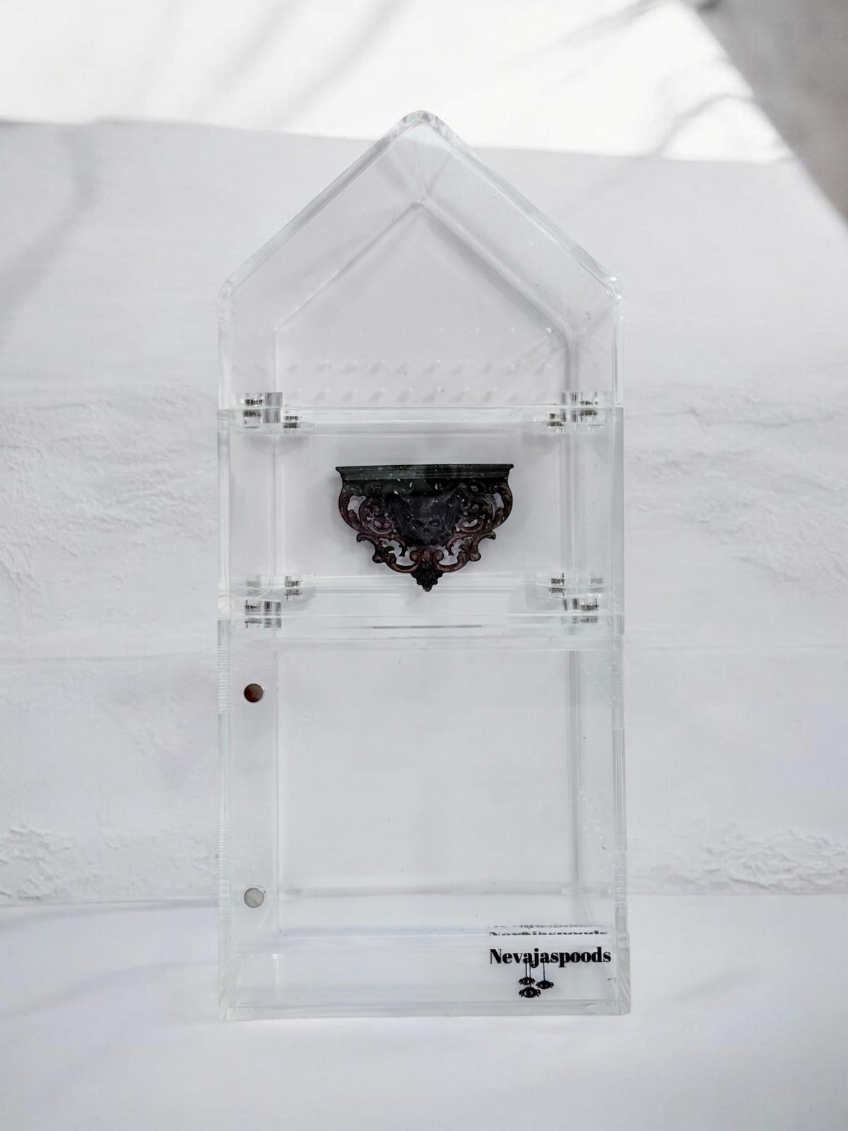 Gothic Horned Skull Jumping Spider Ledge | Enclosure Decor