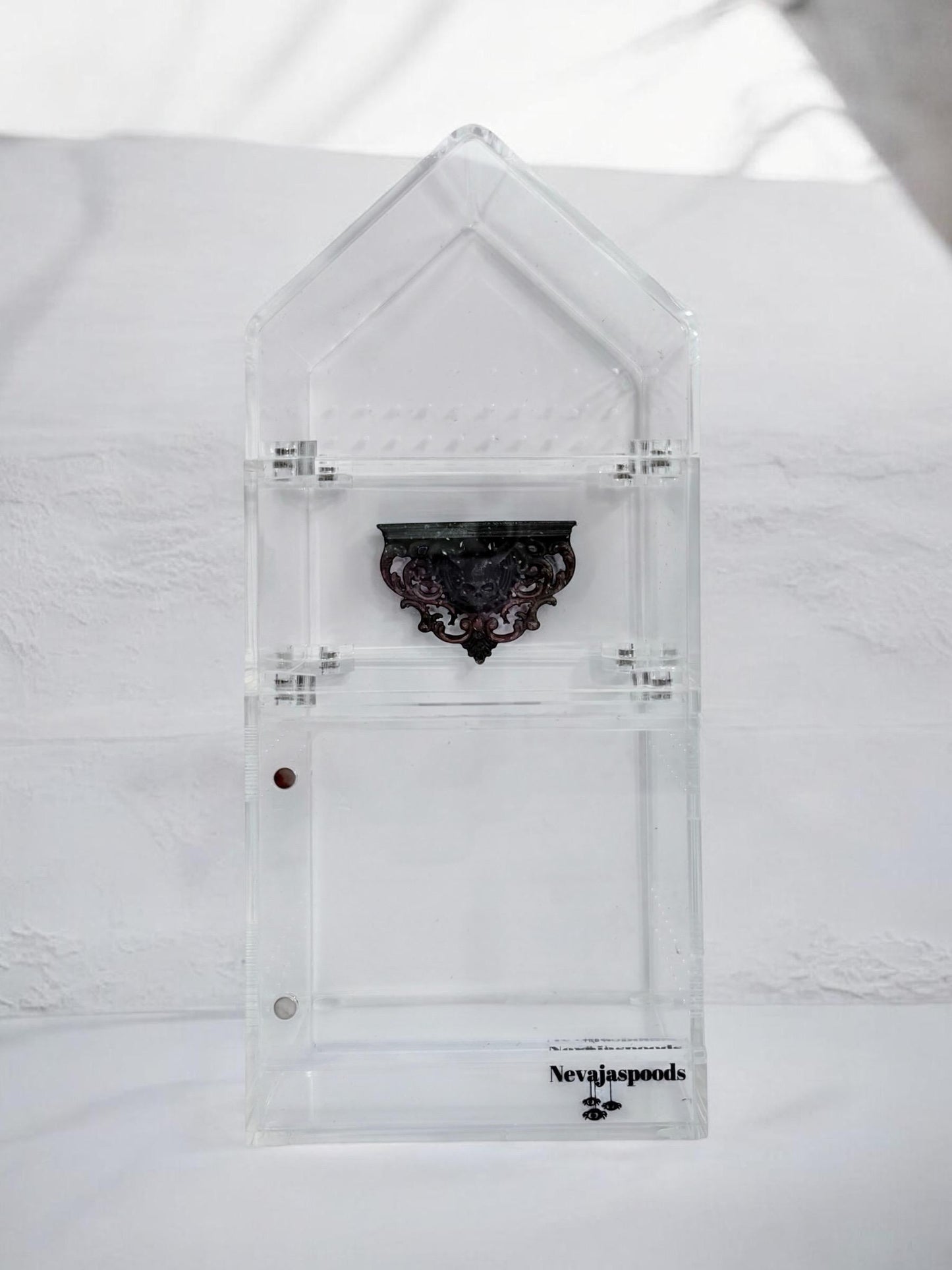 Gothic Horned Skull Jumping Spider Ledge | Enclosure Decor