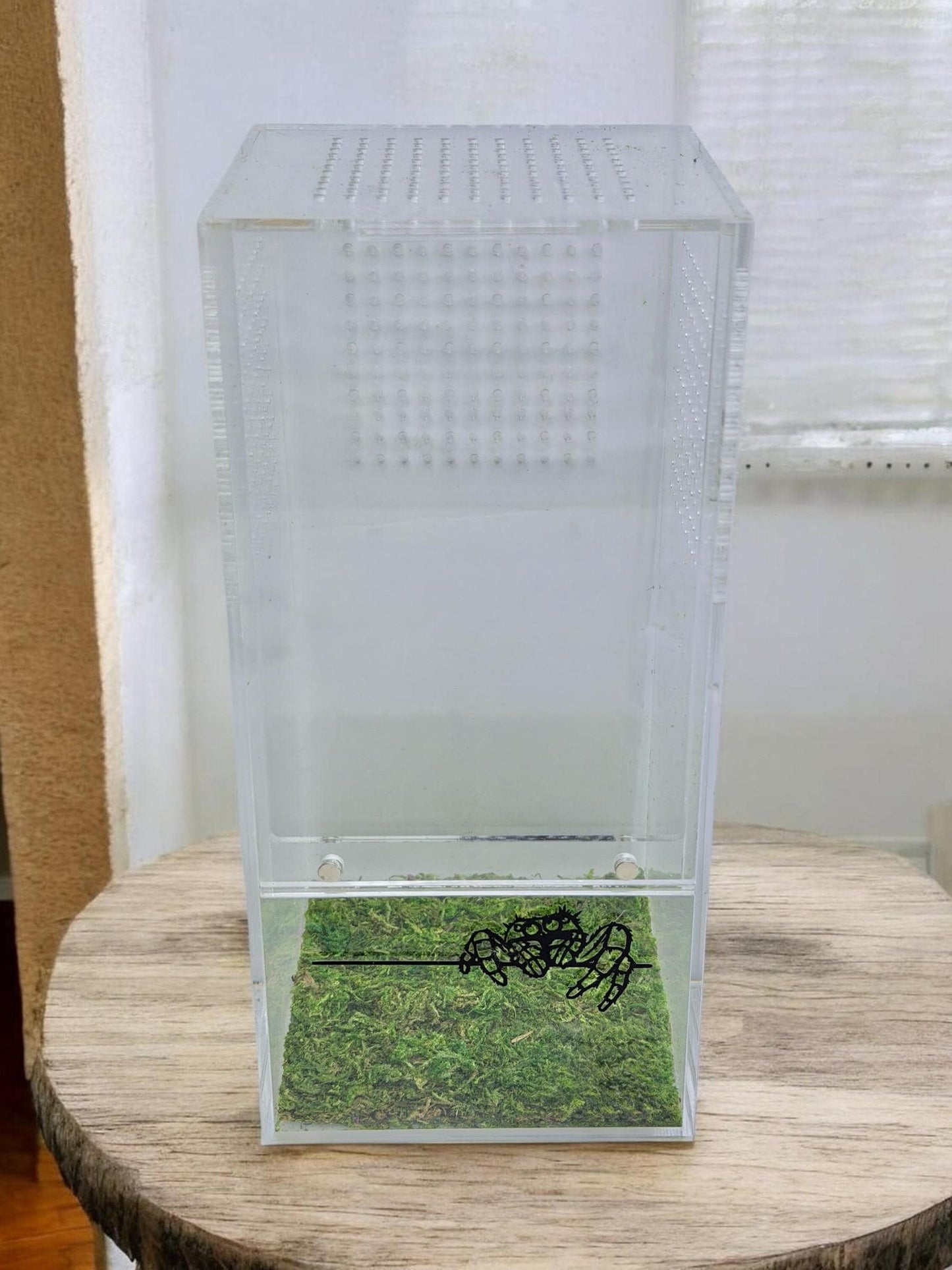 Sphagnum Moss Mat for Jumping Spider Enclosure | Spider Terrarium Substrate | Spider Habitat | Spider Enclosure Essentials