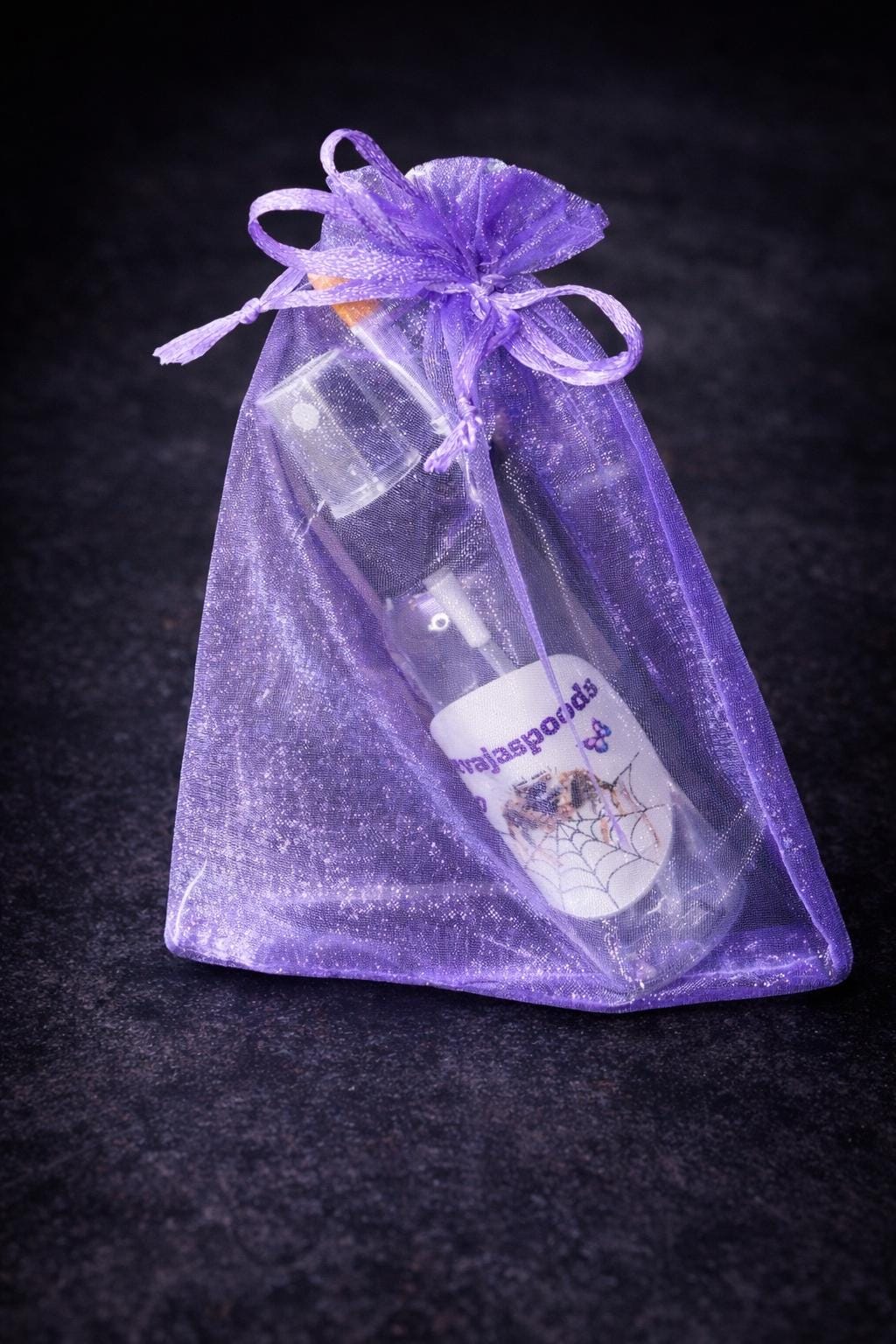 Jumping Spider Starter Kit | Spider Care Kit | Pet Spider Setup | Spider Enclosure Essentials