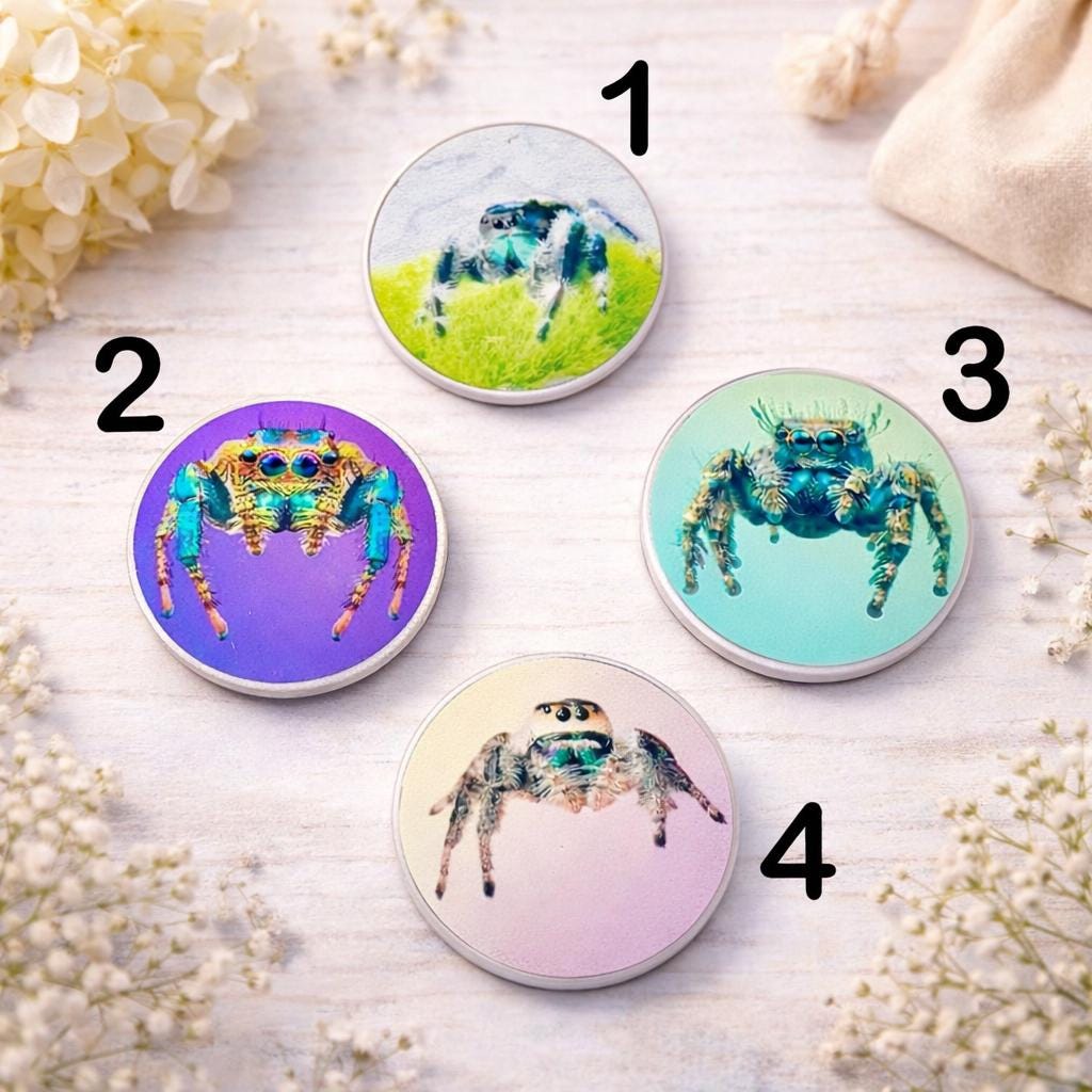 Jumping Spider Phone Grip β Cute Spider Phone Holder β Arachnid Lover Gift β Salticidae Spider Accessory