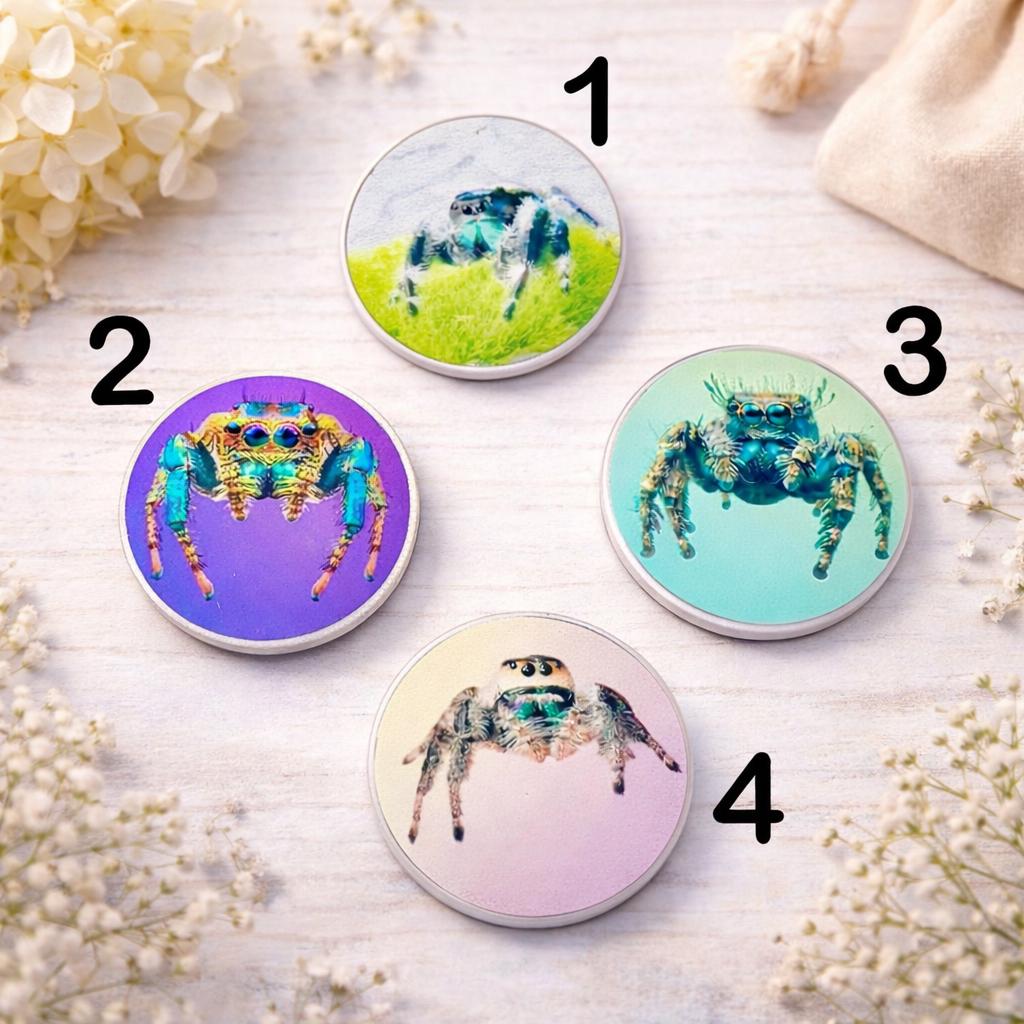 Jumping Spider Phone Grip – Cute Spider Phone Holder – Arachnid Lover Gift – Salticidae Spider Accessory