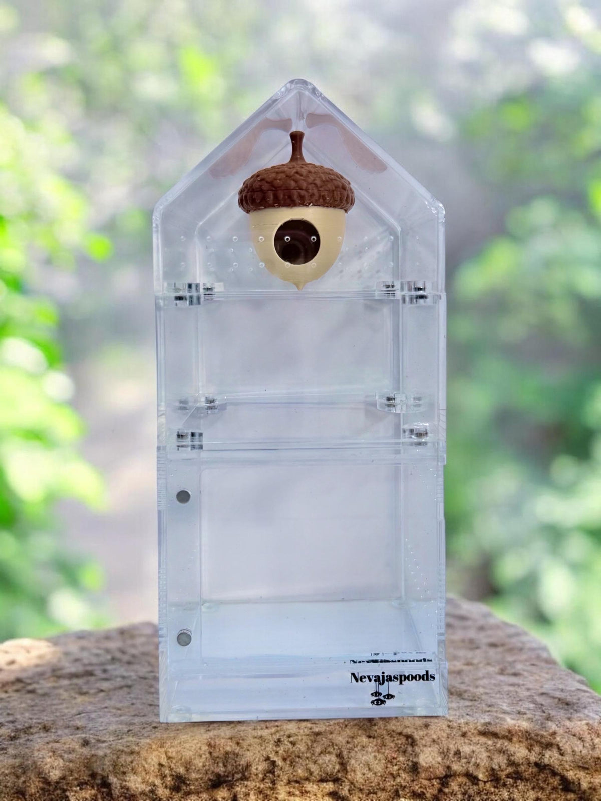 Acorn Hide | Jumping Spider Enclosure Decor