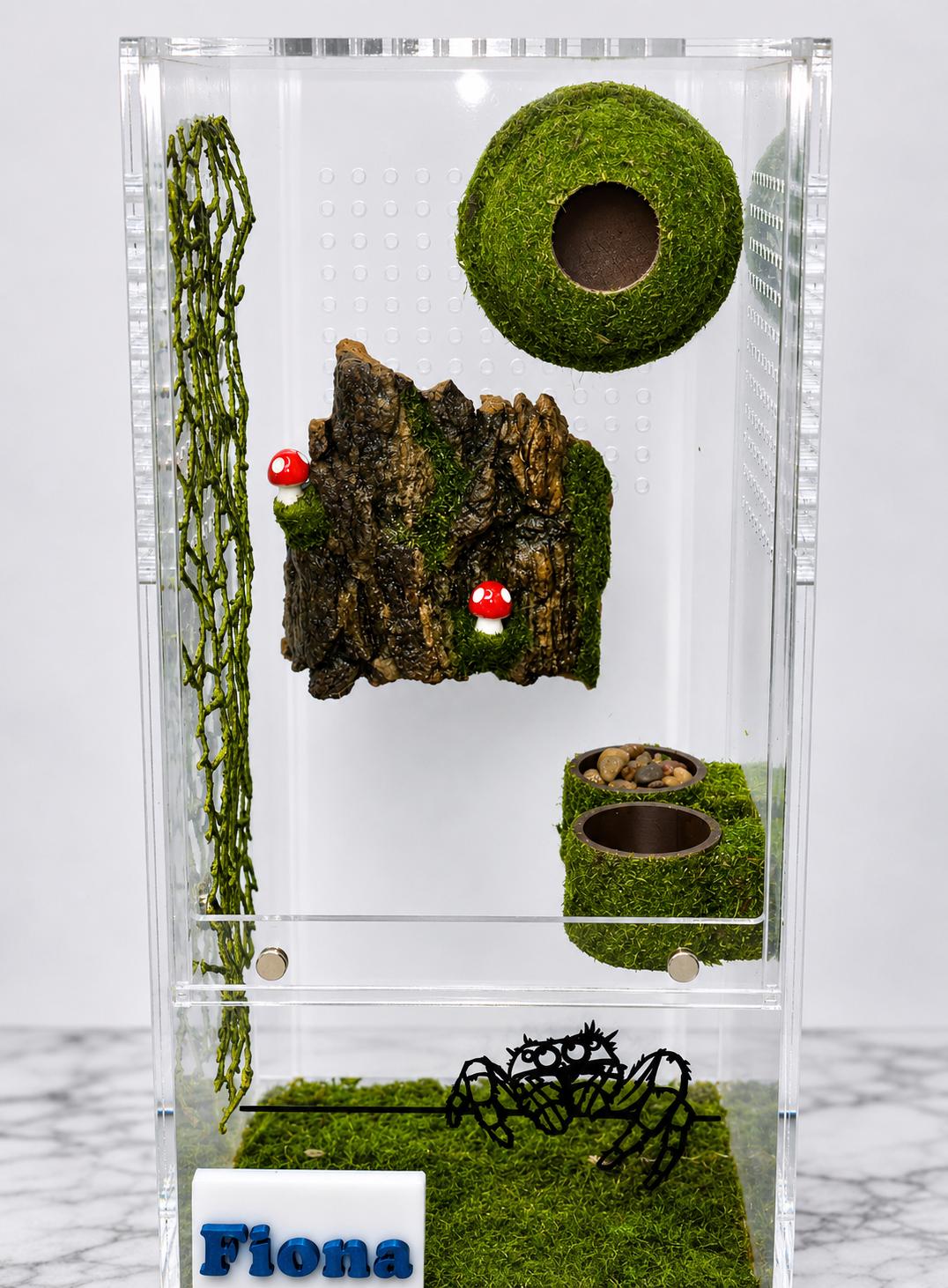 Moss Heart Dome Hide for Jumping Spider | Jumping Spider Enclosure Decor