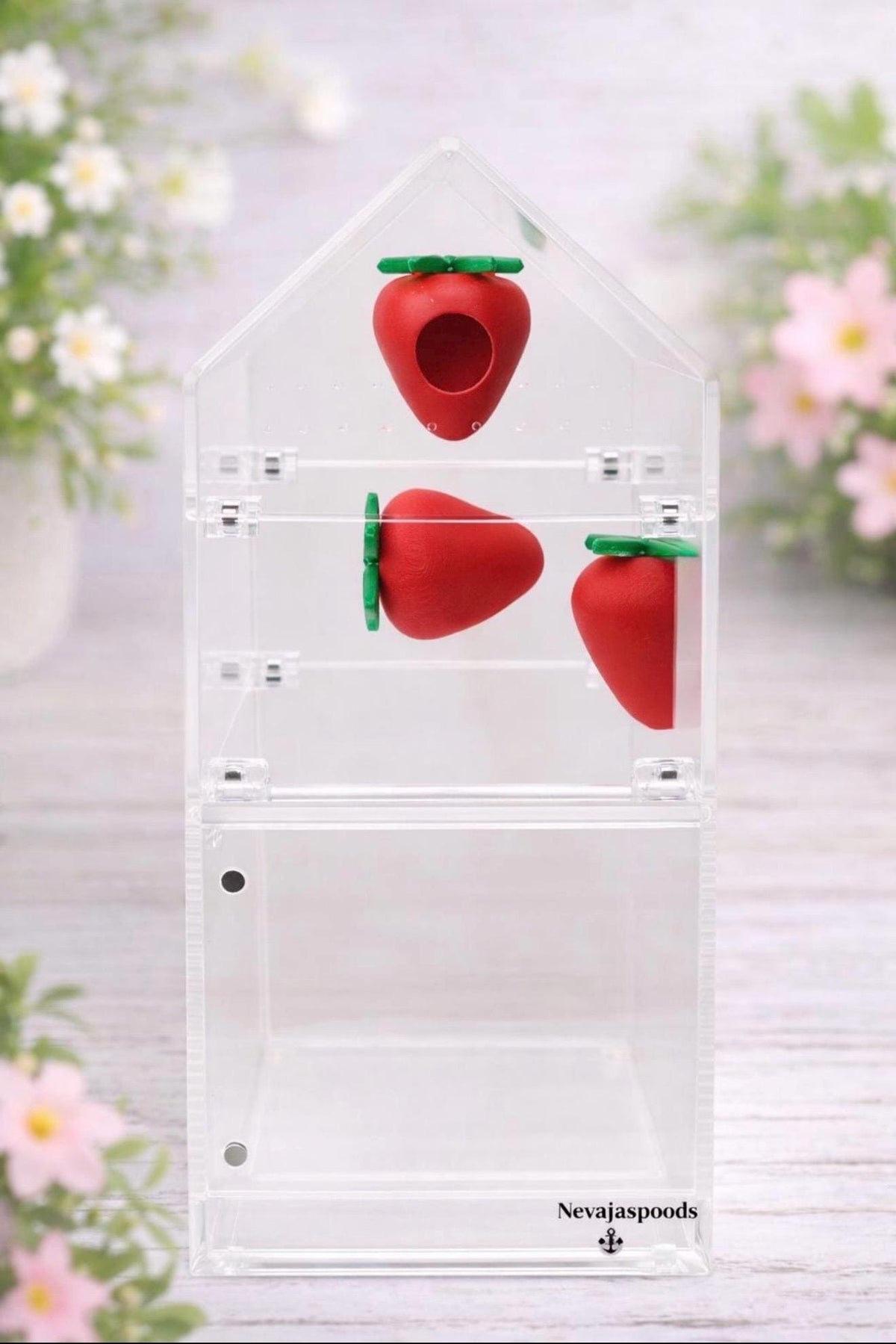 Set of 2 Strawberry Jumping Spider Ledges | Spider Enclosure Decor | Spider Habitat Decor | Enclosure Decor
