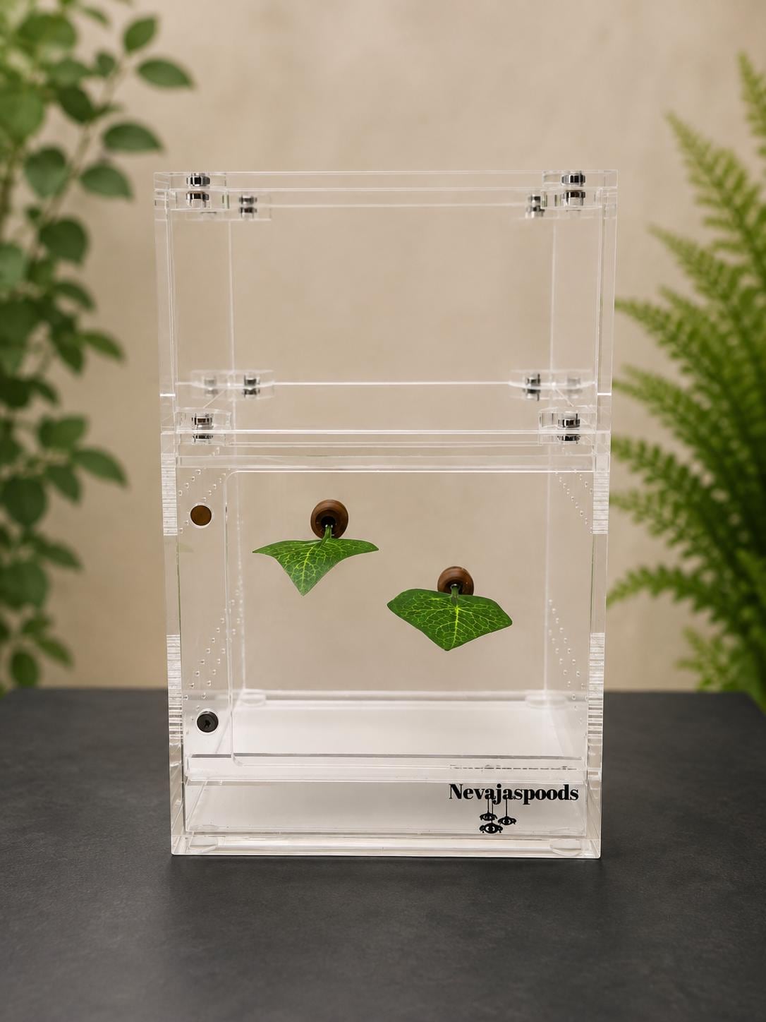 Set of 2 Leaf Ledge for Jumping Spider | Spider Enclosure Decor | Spider Habitat Decor | Enclosure Decor