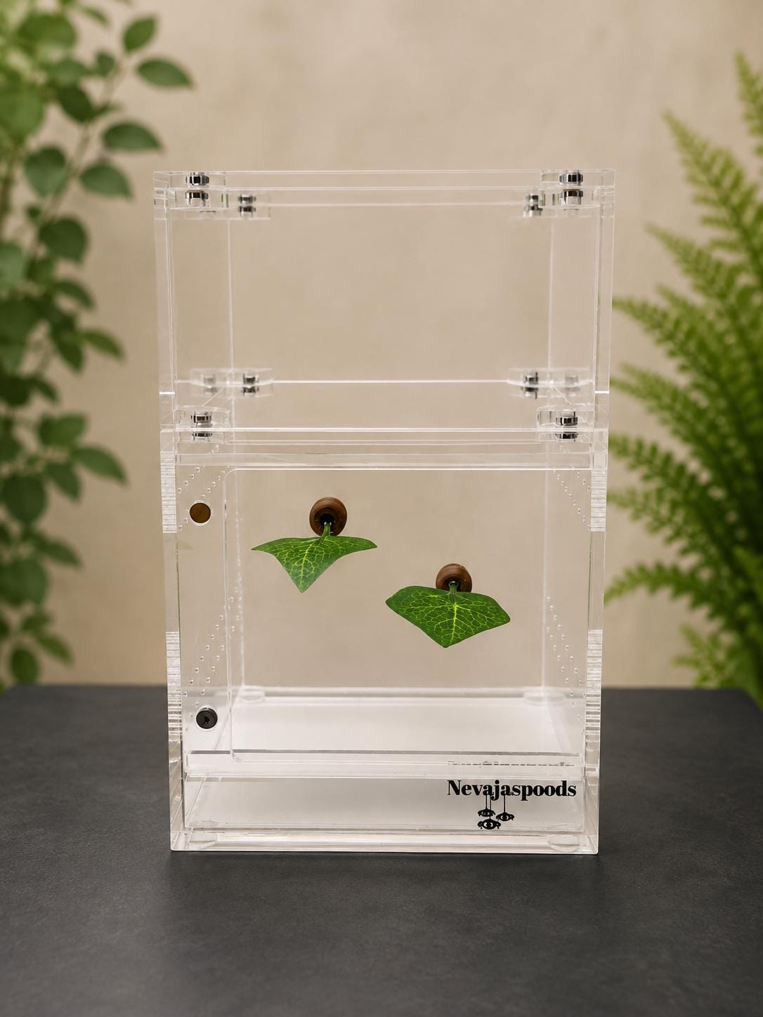 Set of 2 Leaf Ledge for Jumping Spider | Spider Enclosure Decor | Spider Habitat Decor | Enclosure Decor