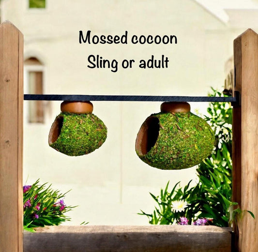 Cocoon Hide | Jumping Spider Enclosure Decor