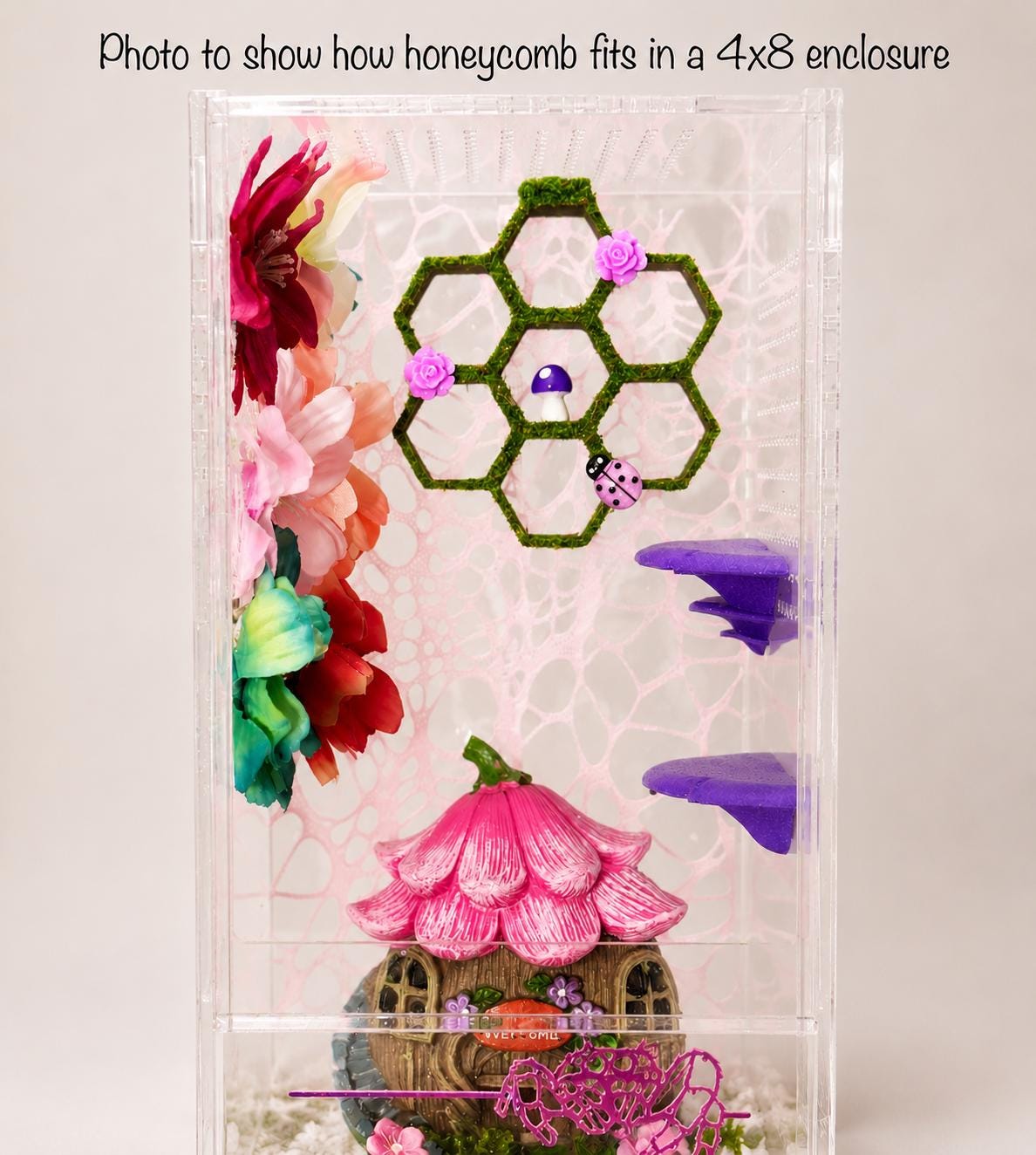 Moss & Flower Honeycomb Decor | Jumping Spider Enclosure Decoration | Spider Terrarium Accessory