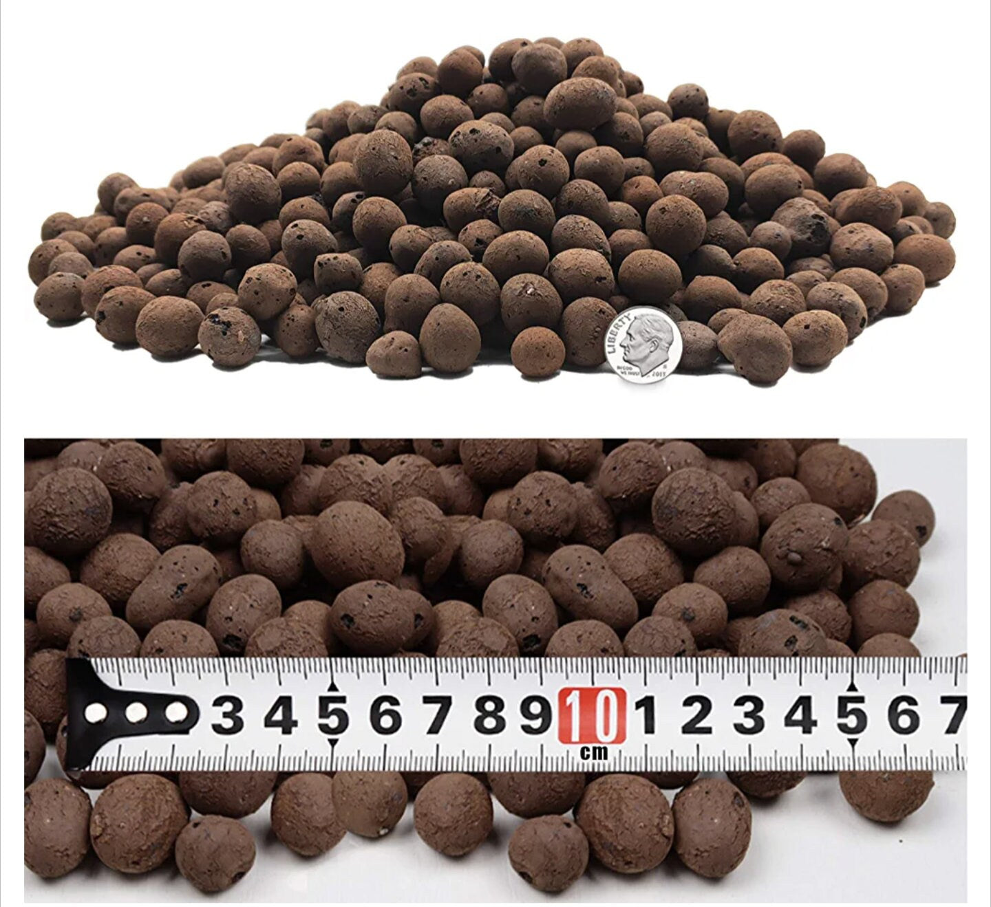 LECA Clay Balls for Jumping Spider Enclosure | Spider Terrarium Substrate | Spider Habitat | Spider Enclosure Essentials