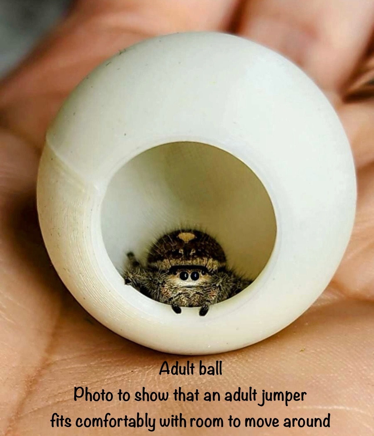 Ball Hide | Jumping Spider Enclosure Decor