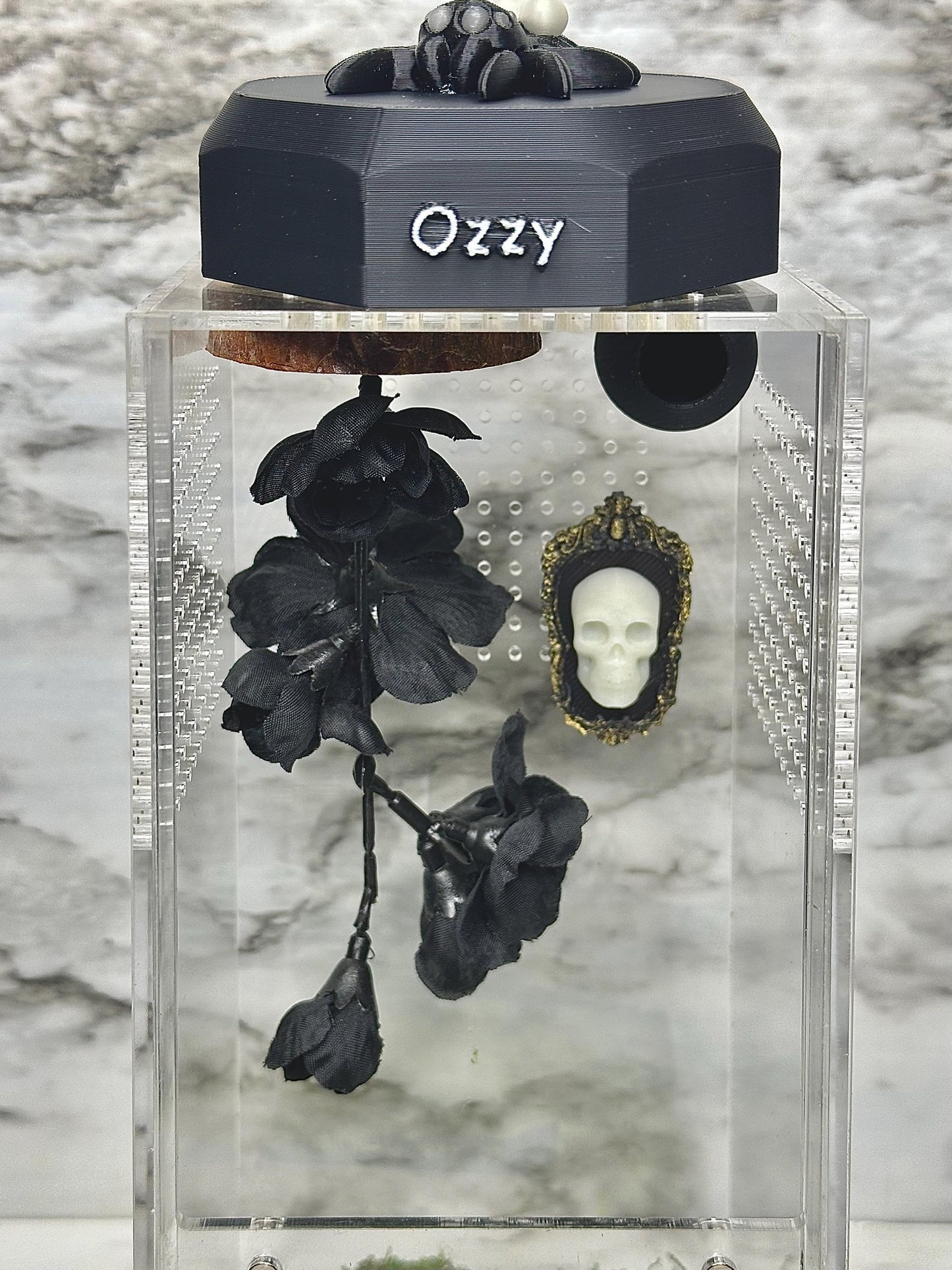 Glow-in-the-Dark Skull & Hand Decor | Jumping Spider Enclosure 3D Picture | Spider Terrarium Accessory