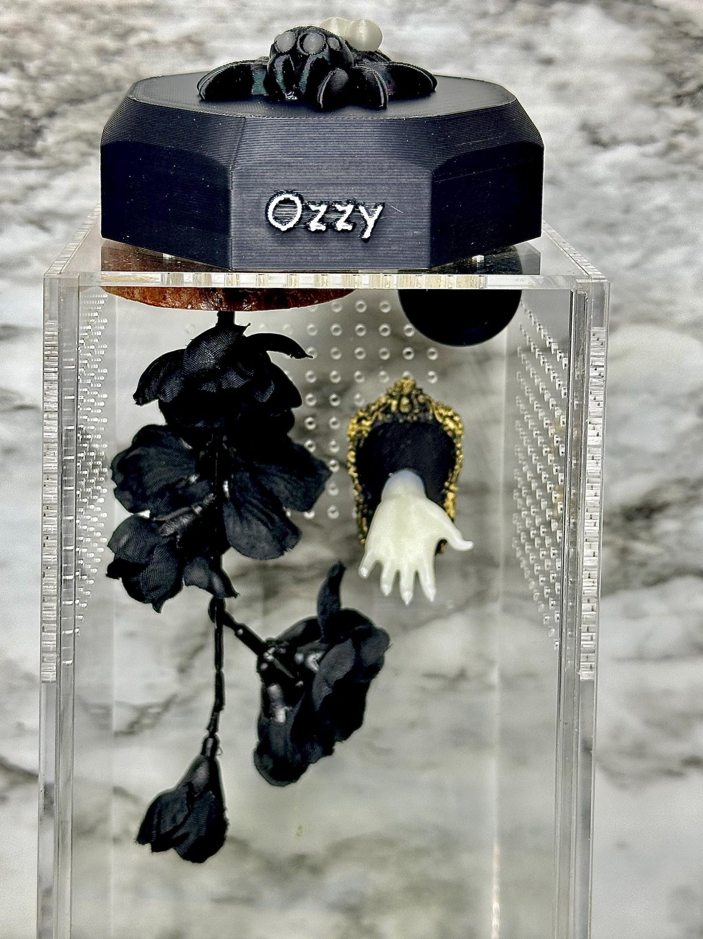 Glow-in-the-Dark Skull & Hand Decor | Jumping Spider Enclosure 3D Picture | Spider Terrarium Accessory