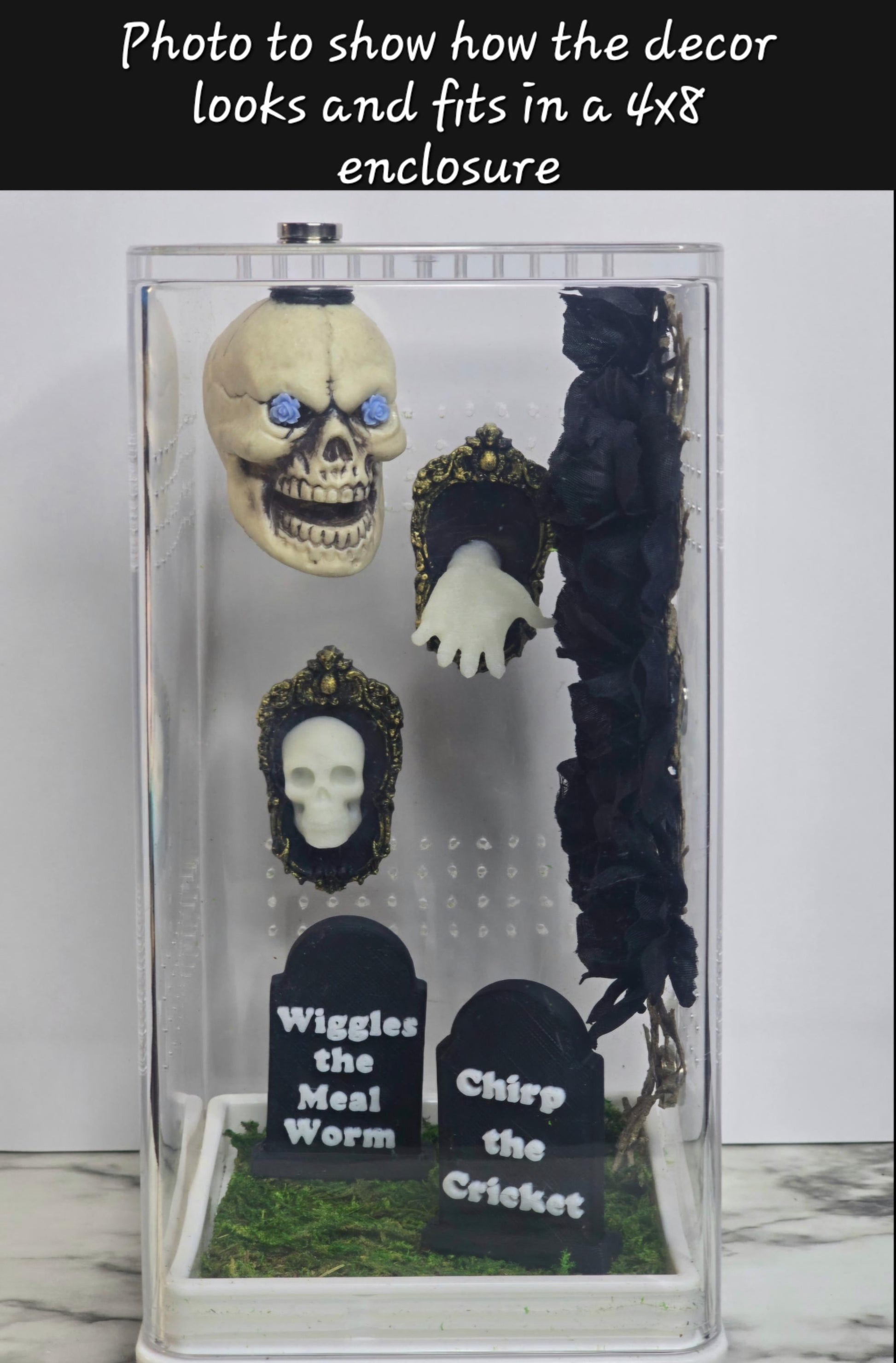 Jumping Spider Graveyard Headstone Decor | Spider Enclosure Decoration | Terrarium Accessory