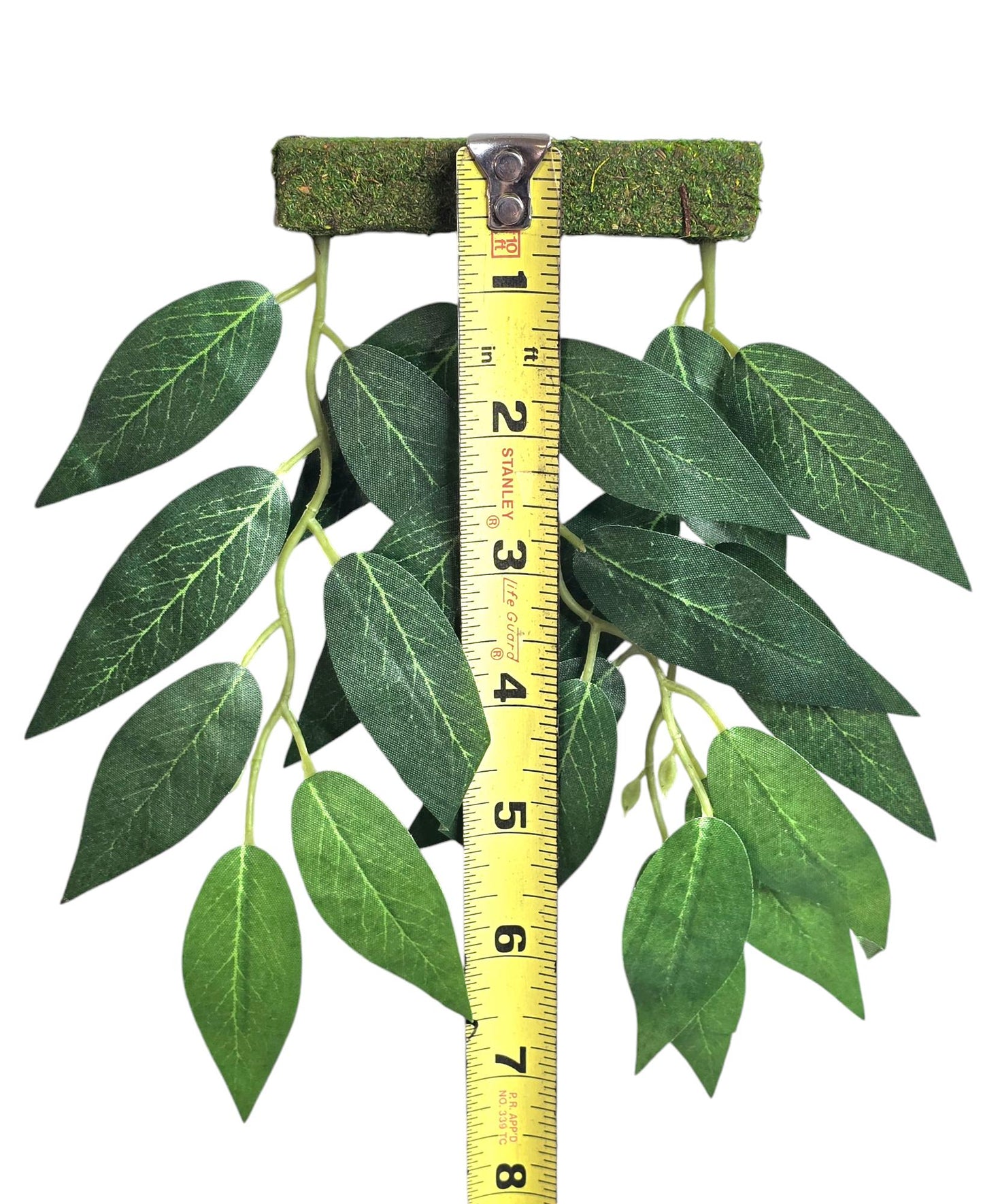 Hanging Plant Climbing Wall | Jumping Spider Enclosure Decor