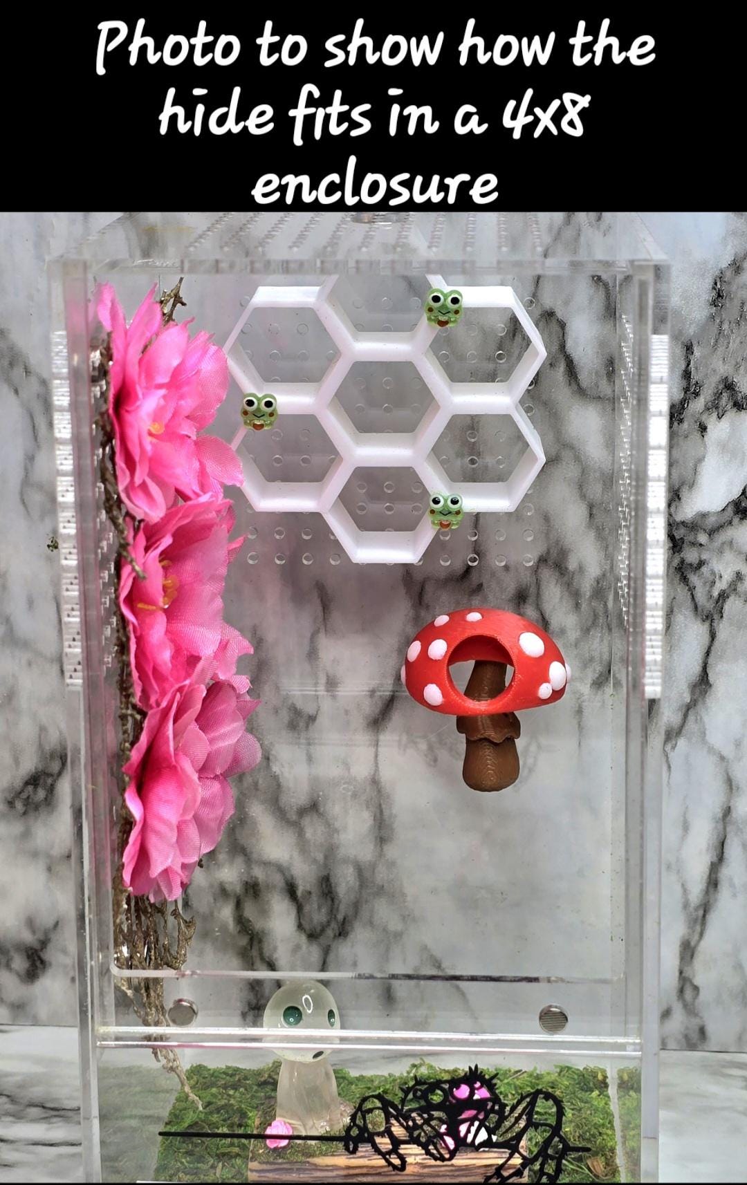 Mushroom Hide | Jumping Spider Habitat | Enclosure Decor