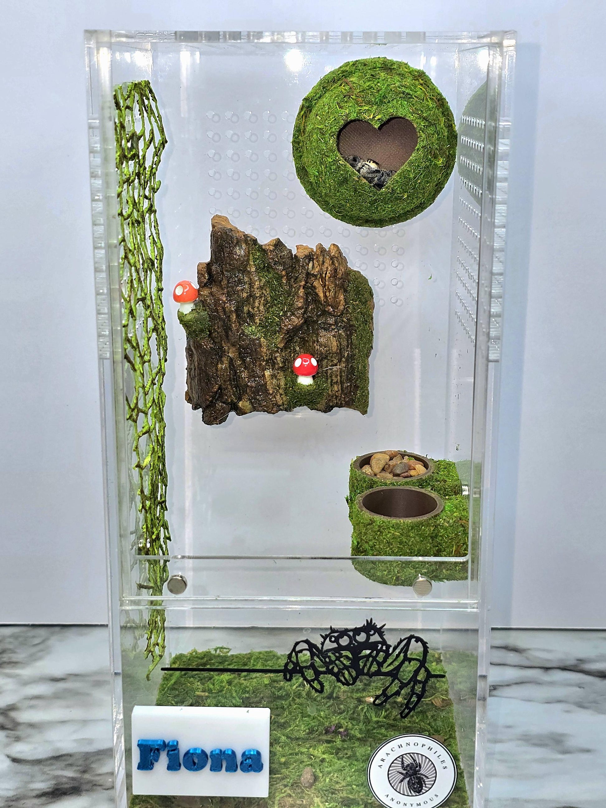 Moss Heart Dome Hide for Jumping Spider | Jumping Spider Enclosure Decor
