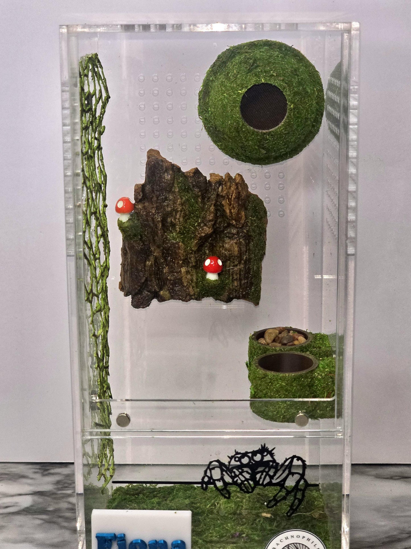 Moss Heart Dome Hide for Jumping Spider | Jumping Spider Enclosure Decor