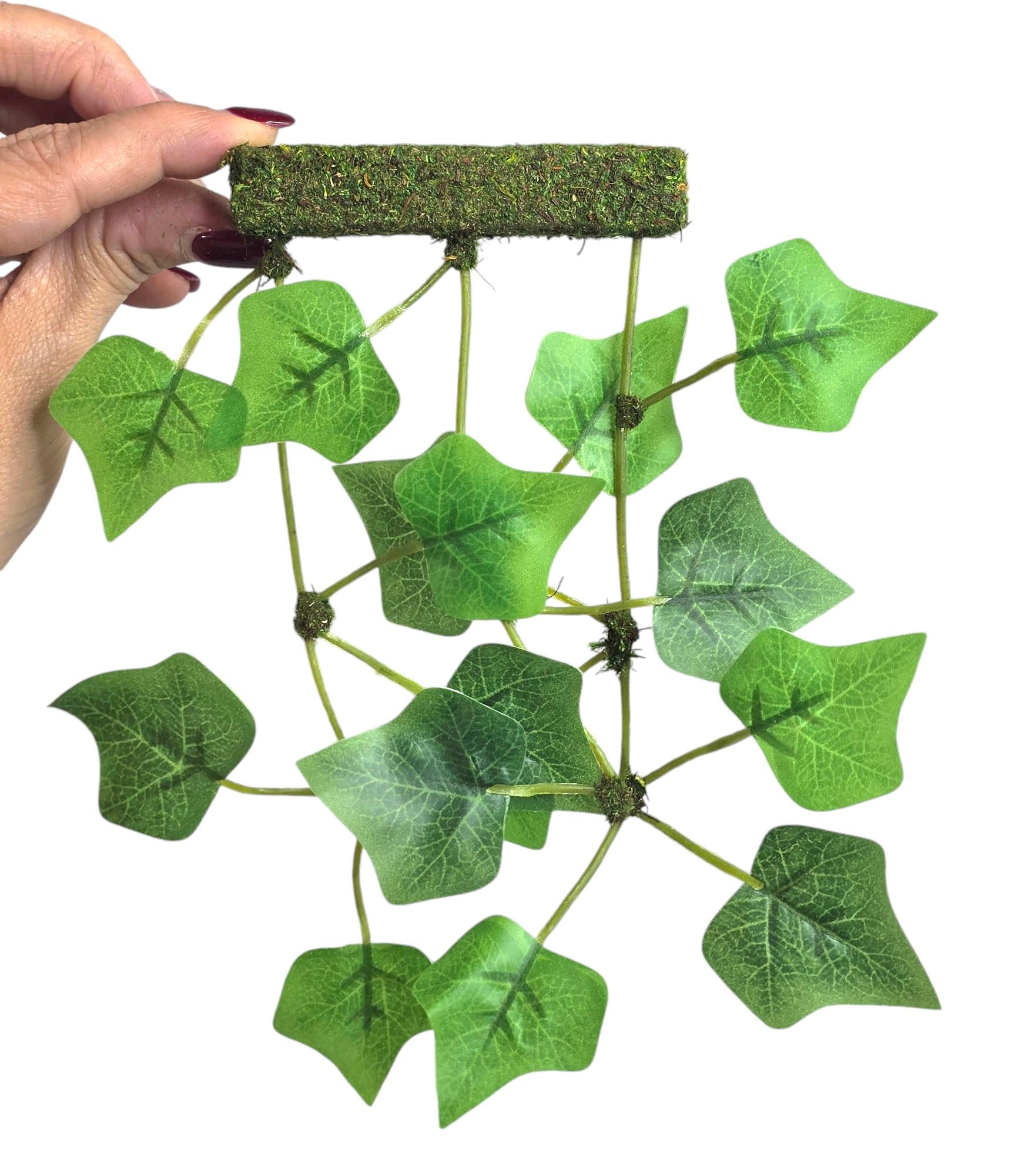 Hanging Plant Climbing Wall | Jumping Spider Enclosure Decor