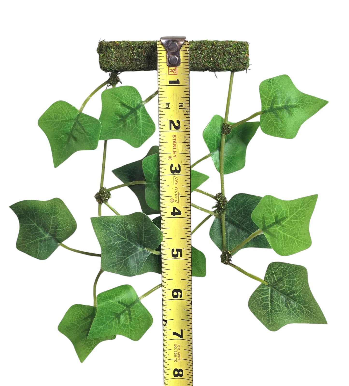 Hanging Plant Climbing Wall | Jumping Spider Enclosure Decor
