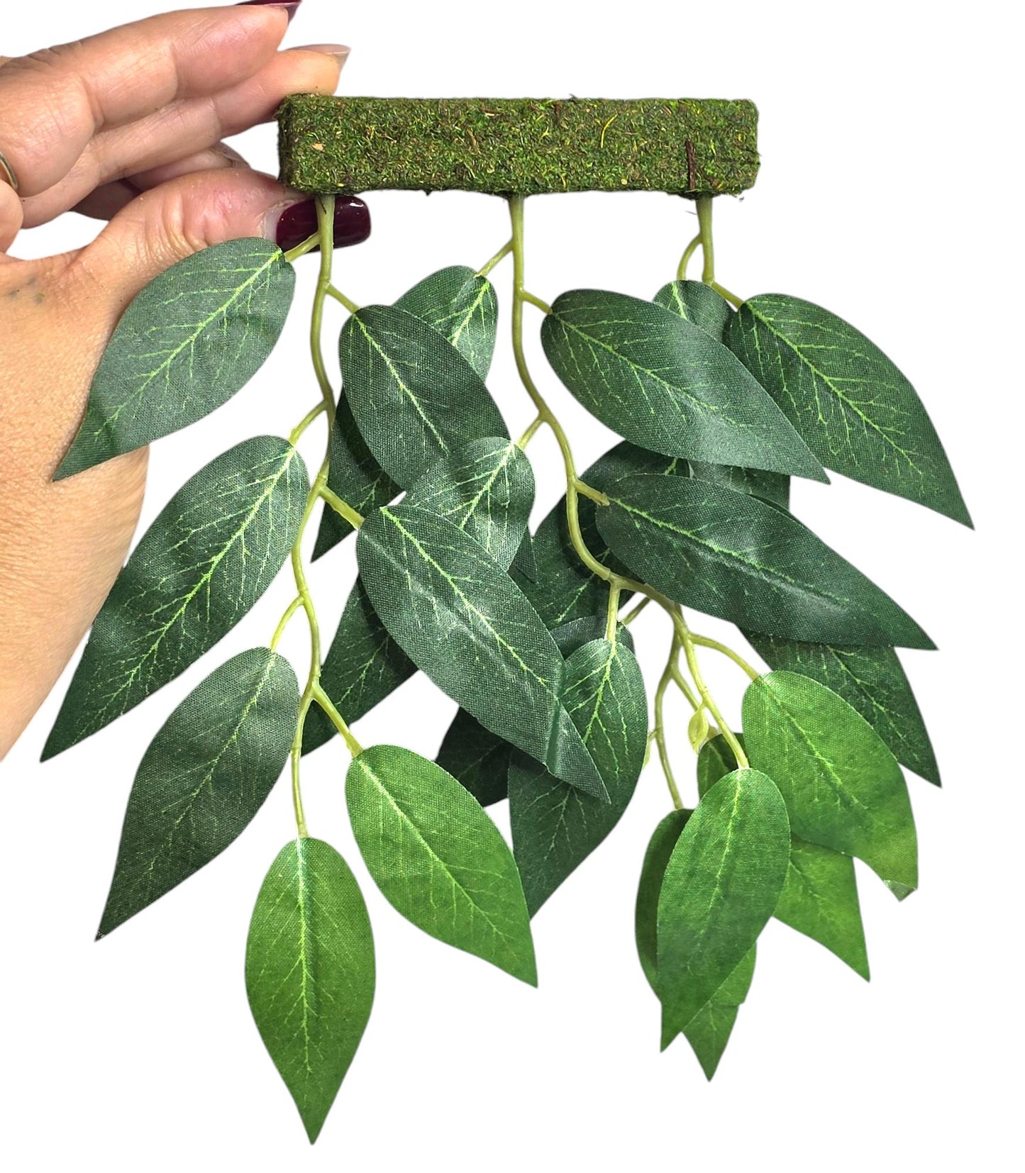 Hanging Plant Climbing Wall | Jumping Spider Enclosure Decor