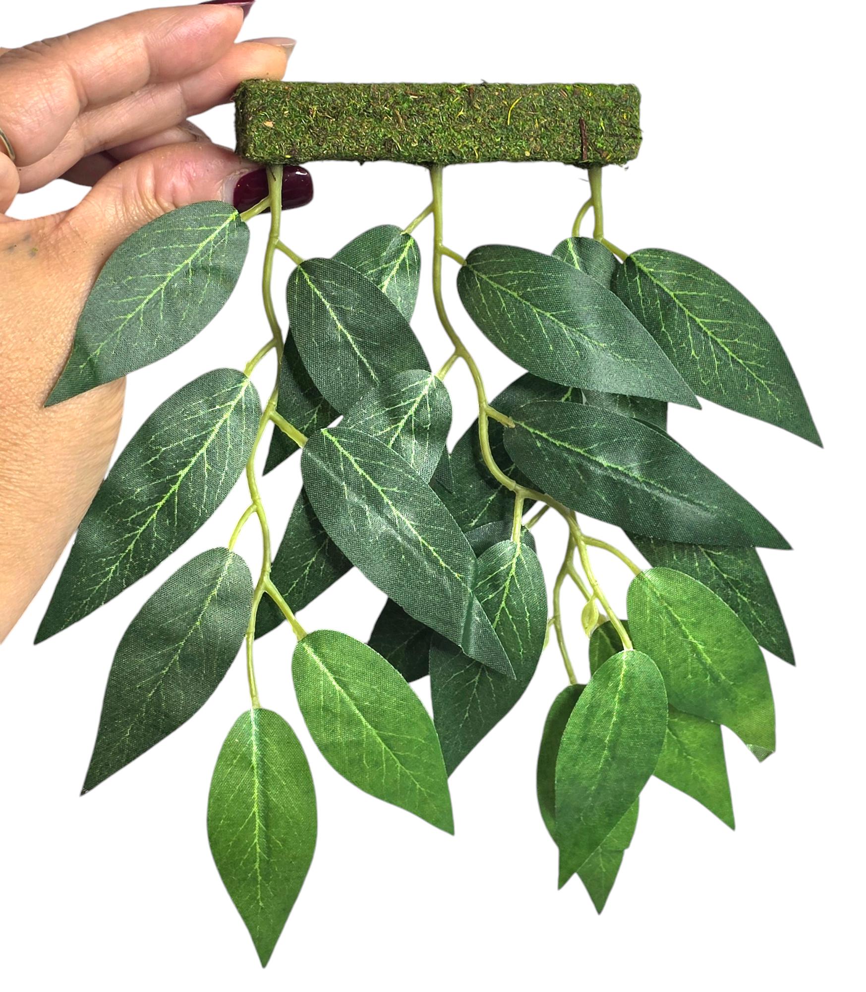 Hanging Plant Climbing Wall | Jumping Spider Enclosure Decor