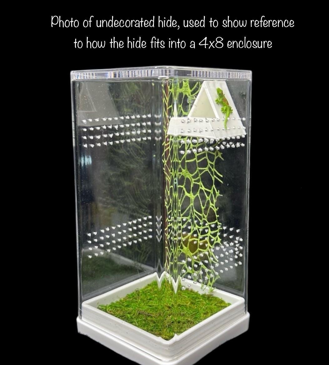 Moss Tent Hide for Jumping Spider | Jumping Spider Enclosure Decor