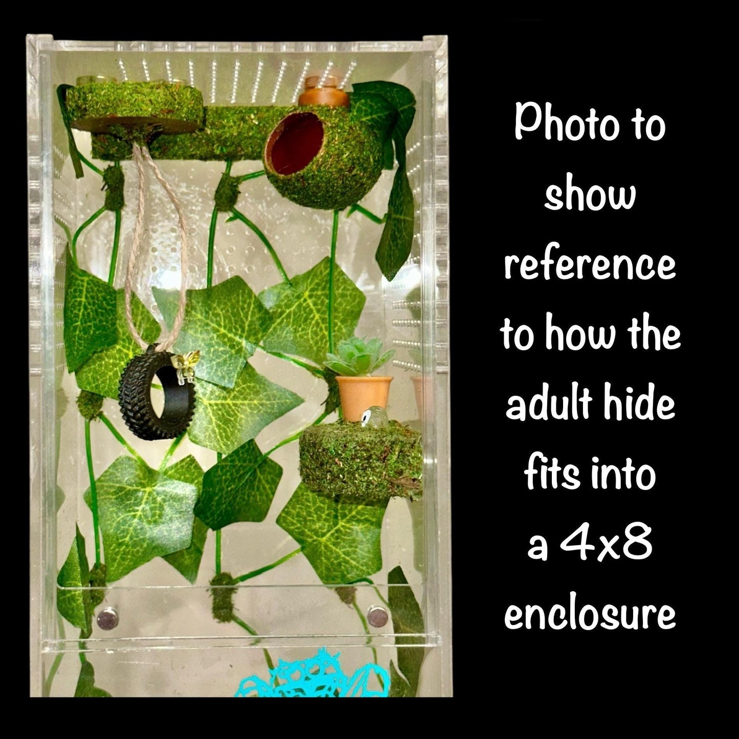 Cocoon Hide | Jumping Spider Enclosure Decor