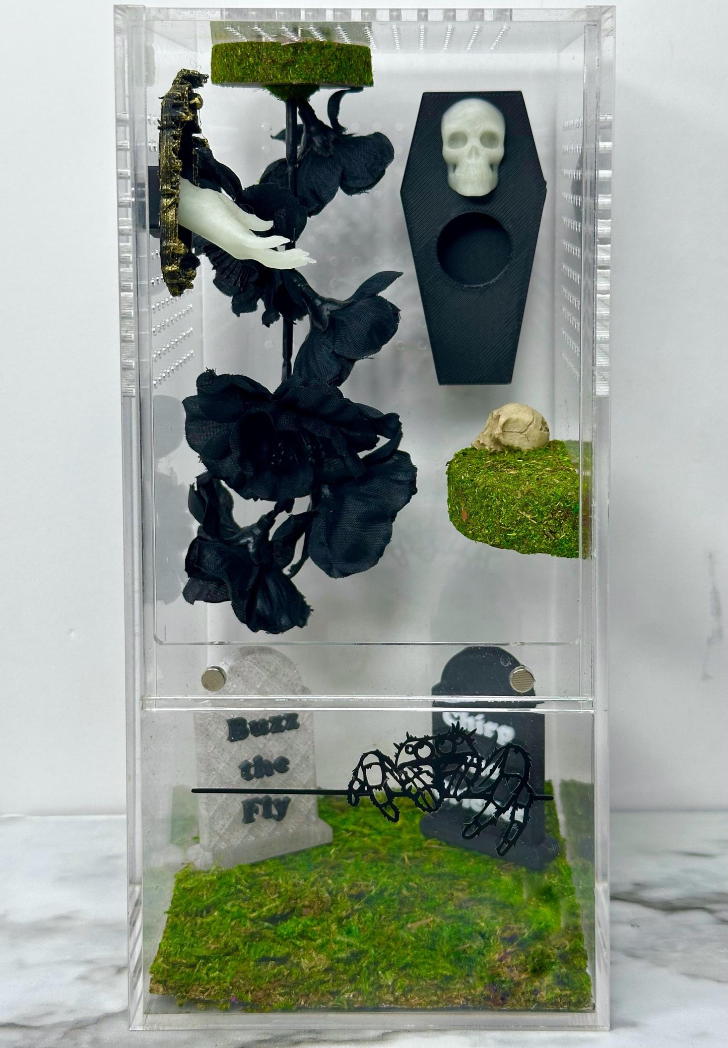 Skull Coffin Hide | Jumping Spider Enclosure Decor