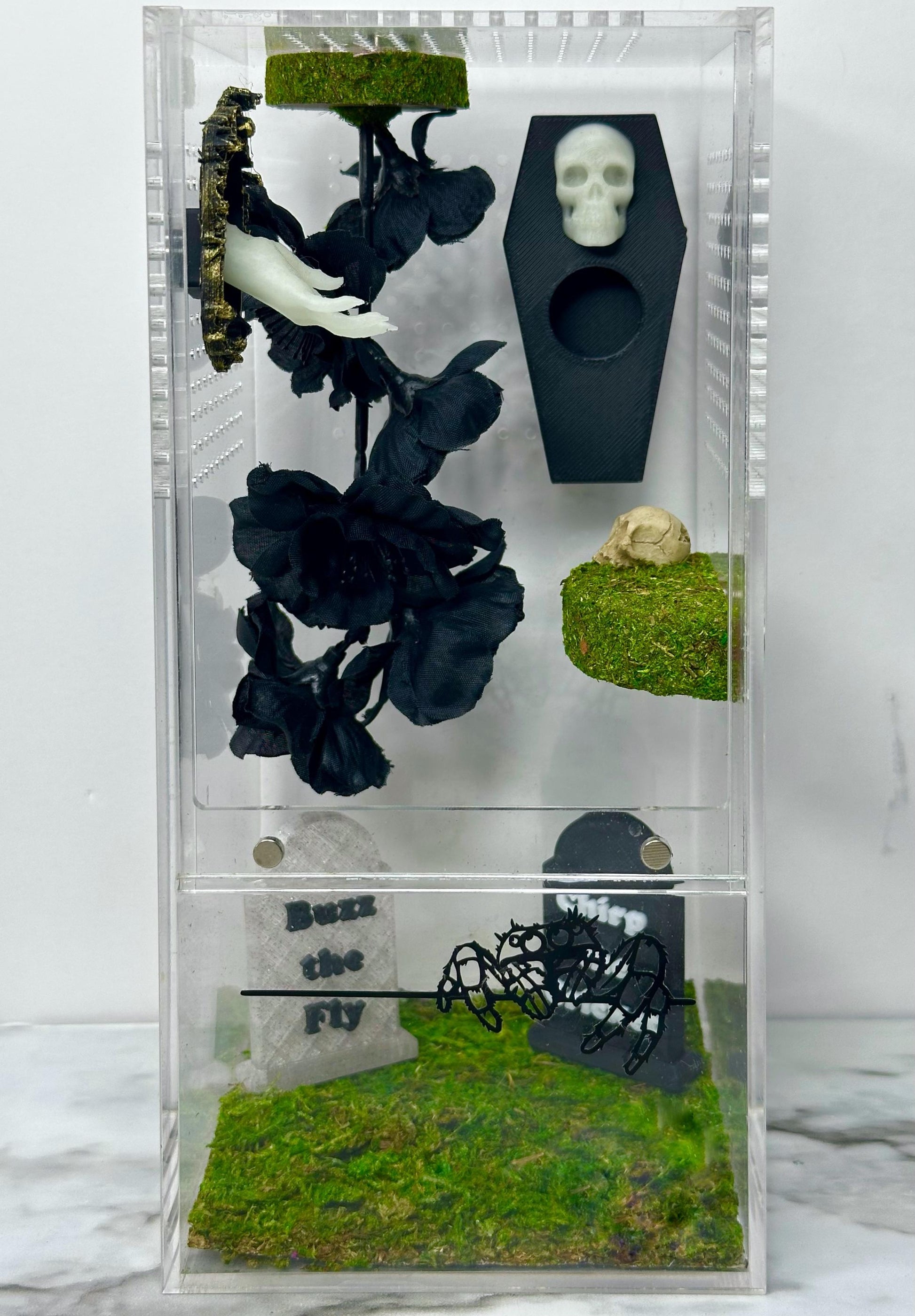 Skull Coffin Hide | Jumping Spider Enclosure Decor