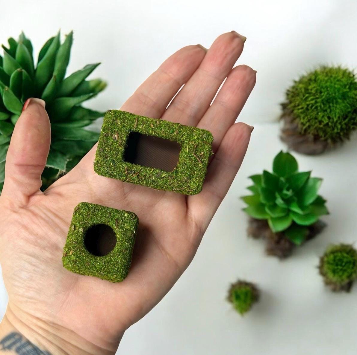 Moss Box Hide for Jumping Spider | Jumping Spider Enclosure Decor