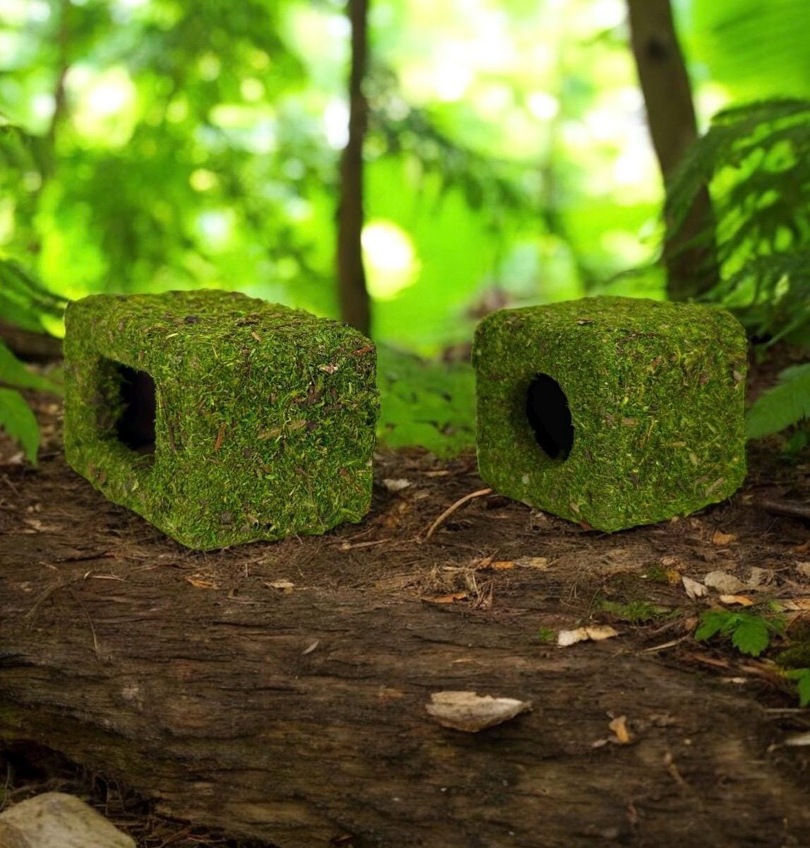 Moss Box Hide for Jumping Spider | Jumping Spider Enclosure Decor