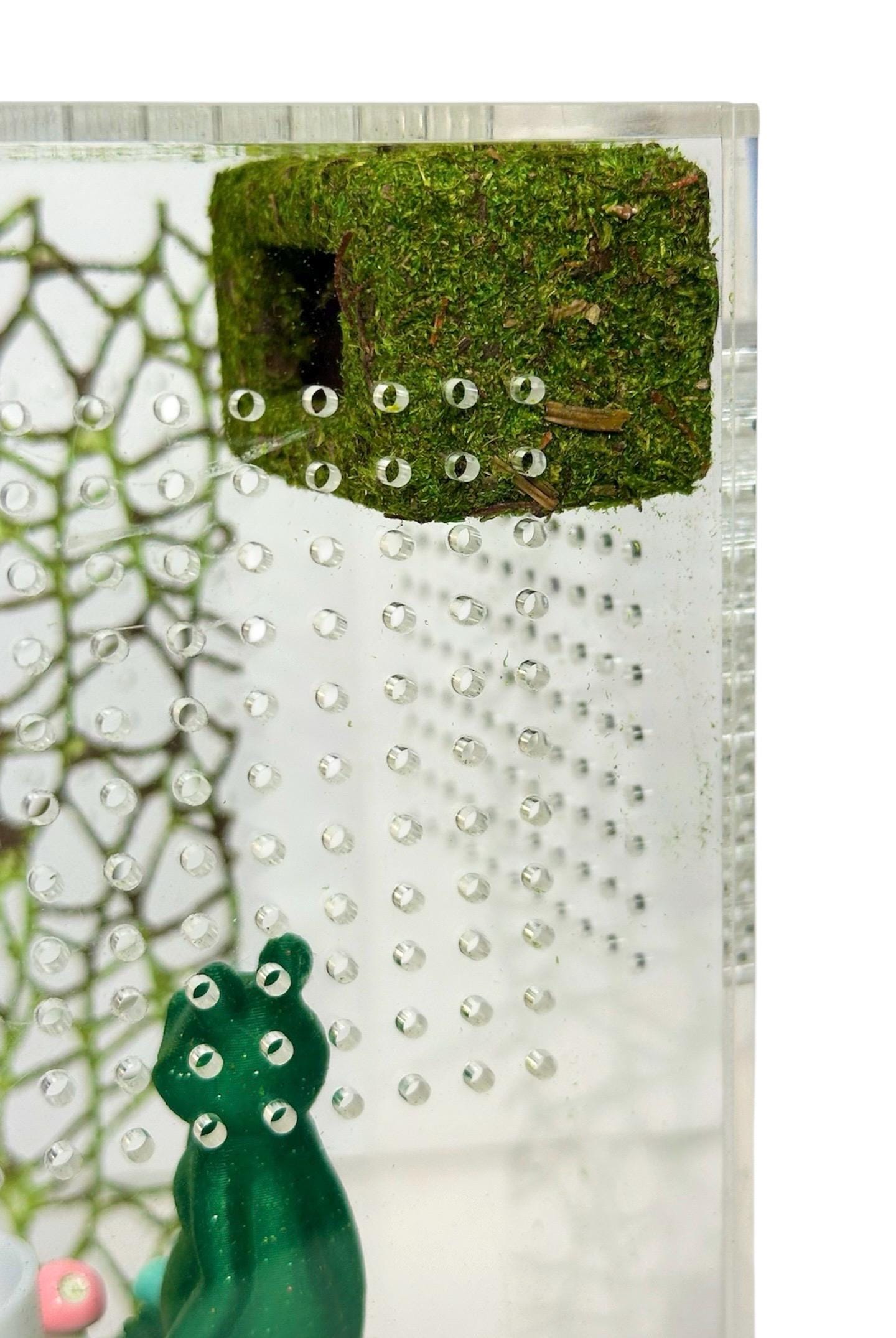 Moss Box Hide for Jumping Spider | Jumping Spider Enclosure Decor