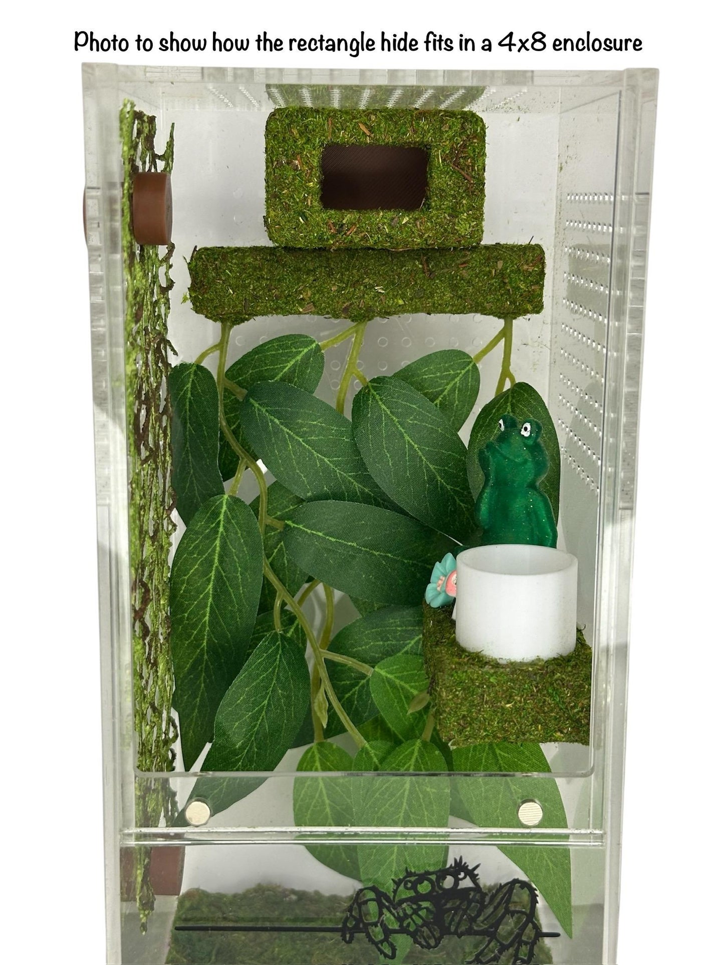 Moss Box Hide for Jumping Spider | Jumping Spider Enclosure Decor