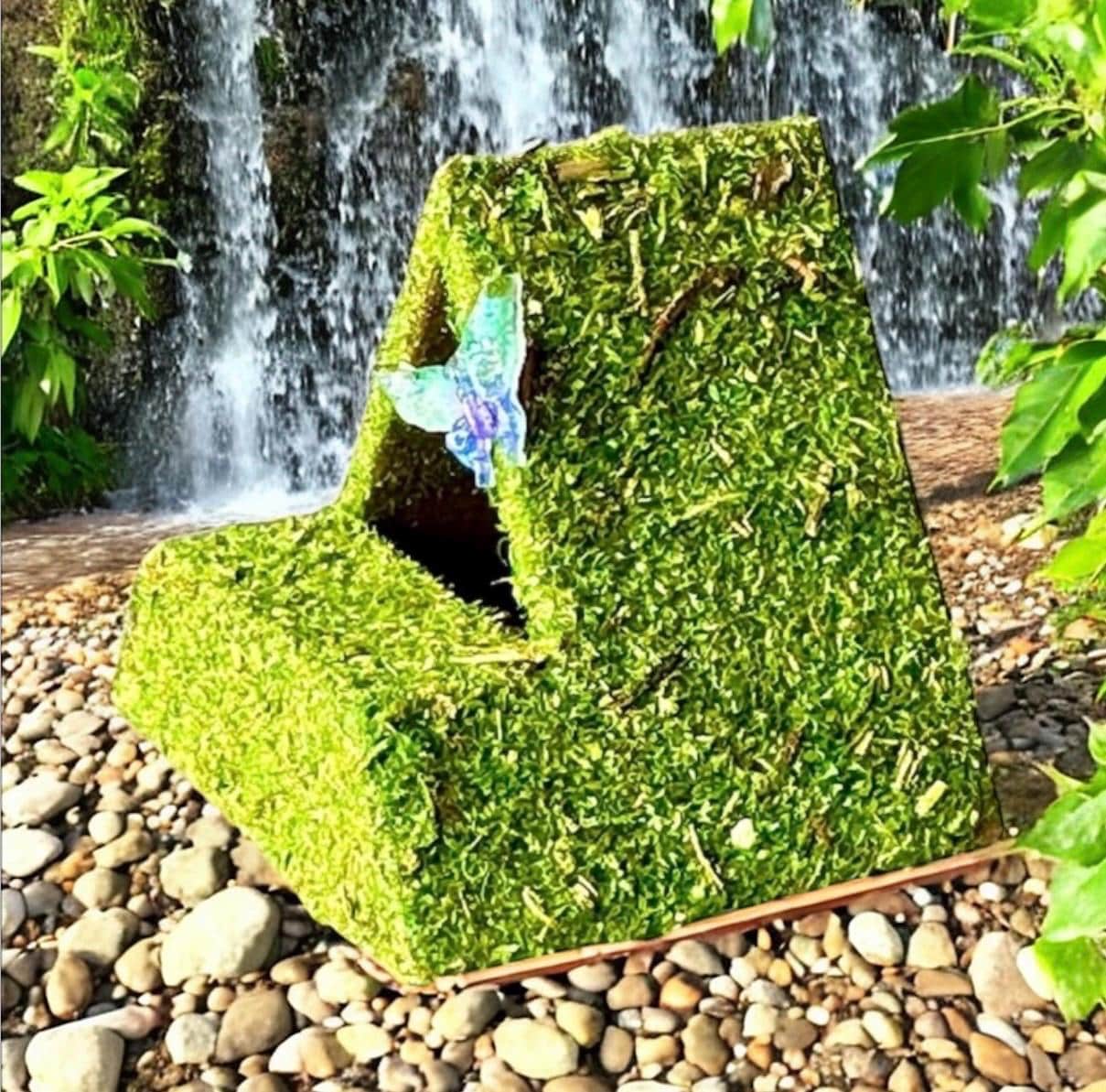 Moss Tent Hide for Jumping Spider | Jumping Spider Enclosure Decor