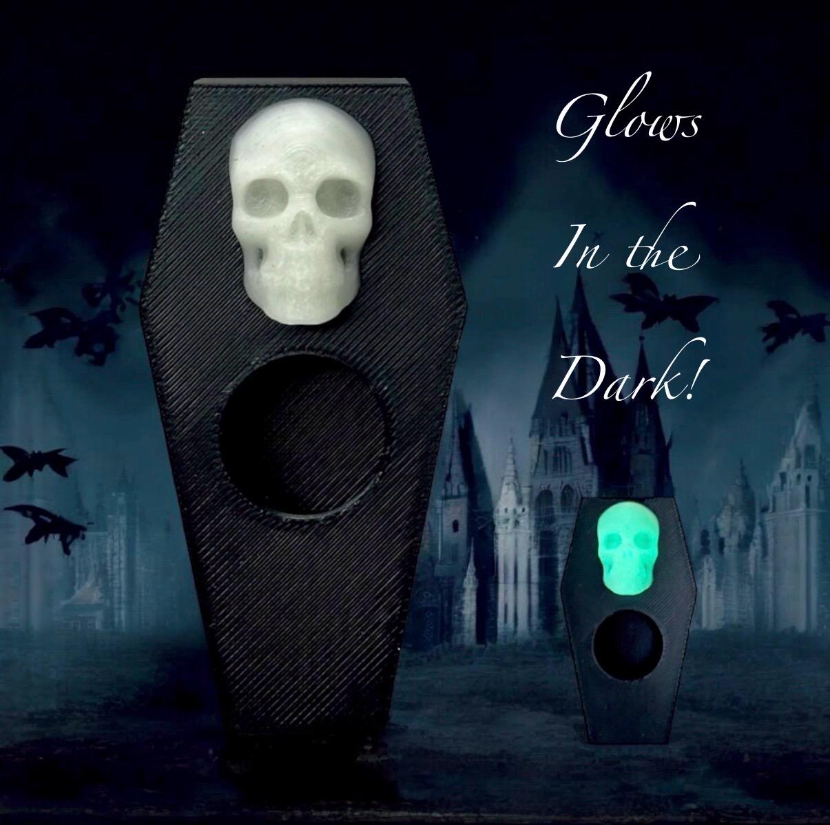 Skull Coffin Hide | Jumping Spider Enclosure Decor