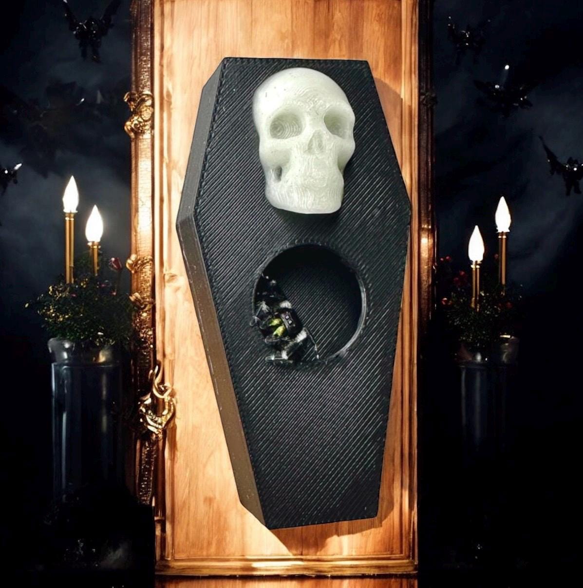 Skull Coffin Hide | Jumping Spider Enclosure Decor