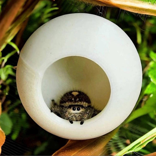 Ball Hide | Jumping Spider Enclosure Decor