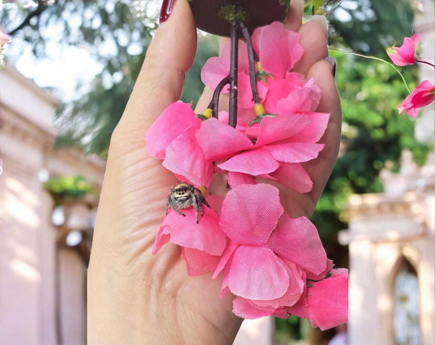 Cherry Blossom Hanging Spider Gym | Jumping Spider Exercise Playground | Spider Accessories