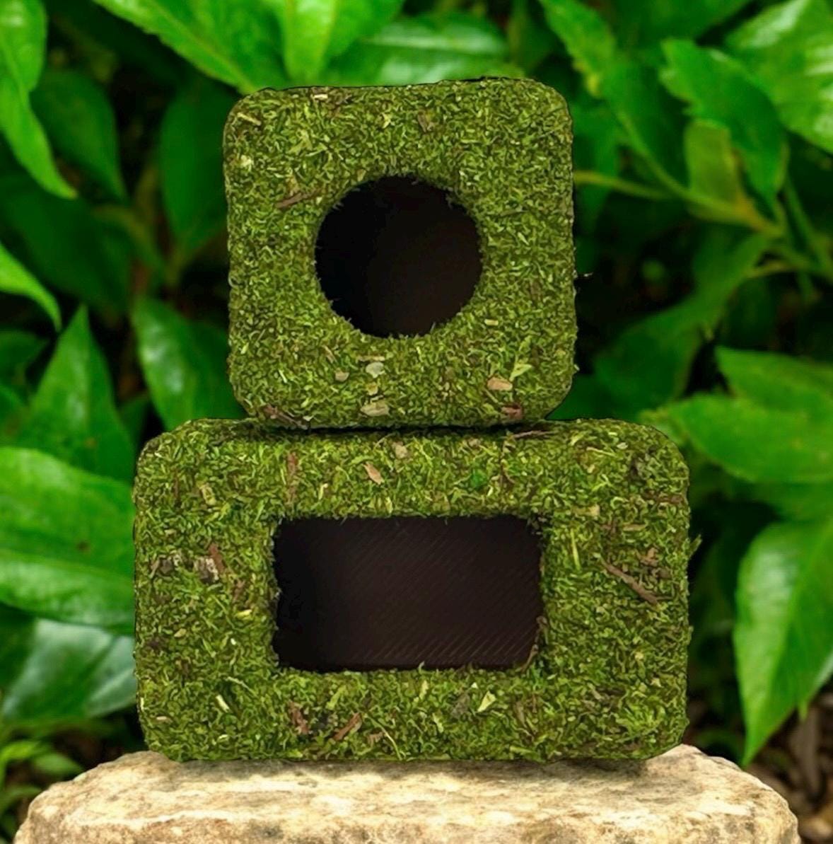 Moss Box Hide for Jumping Spider | Jumping Spider Enclosure Decor