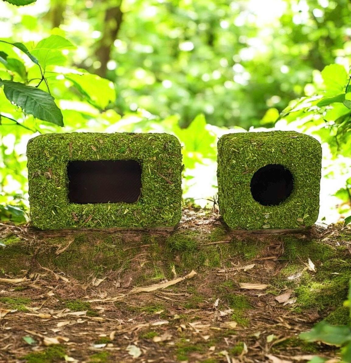 Moss Box Hide for Jumping Spider | Jumping Spider Enclosure Decor