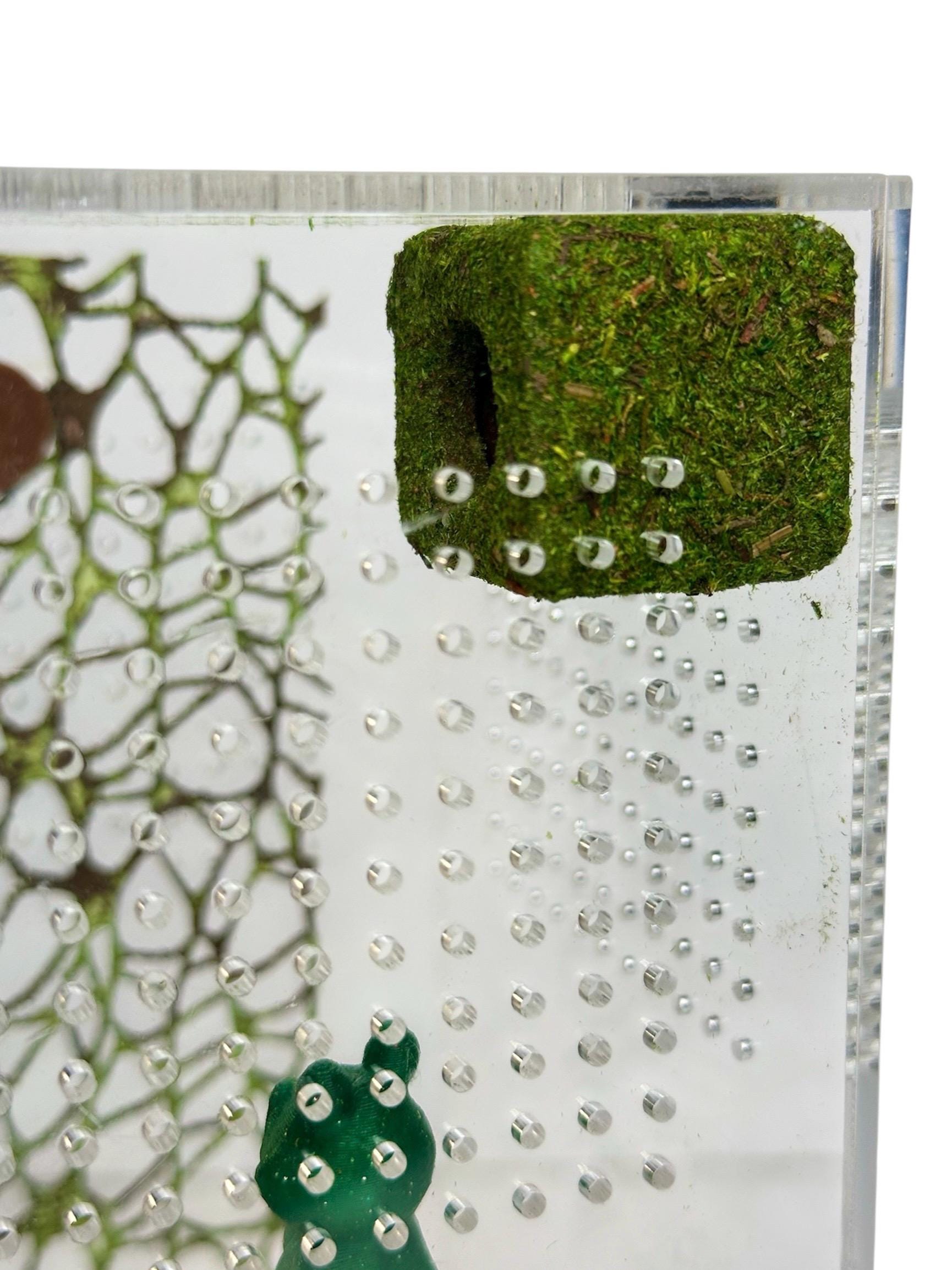 Moss Box Hide for Jumping Spider | Jumping Spider Enclosure Decor