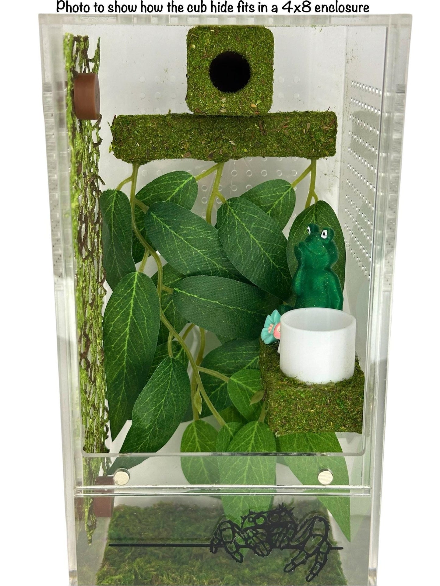 Moss Box Hide for Jumping Spider | Jumping Spider Enclosure Decor