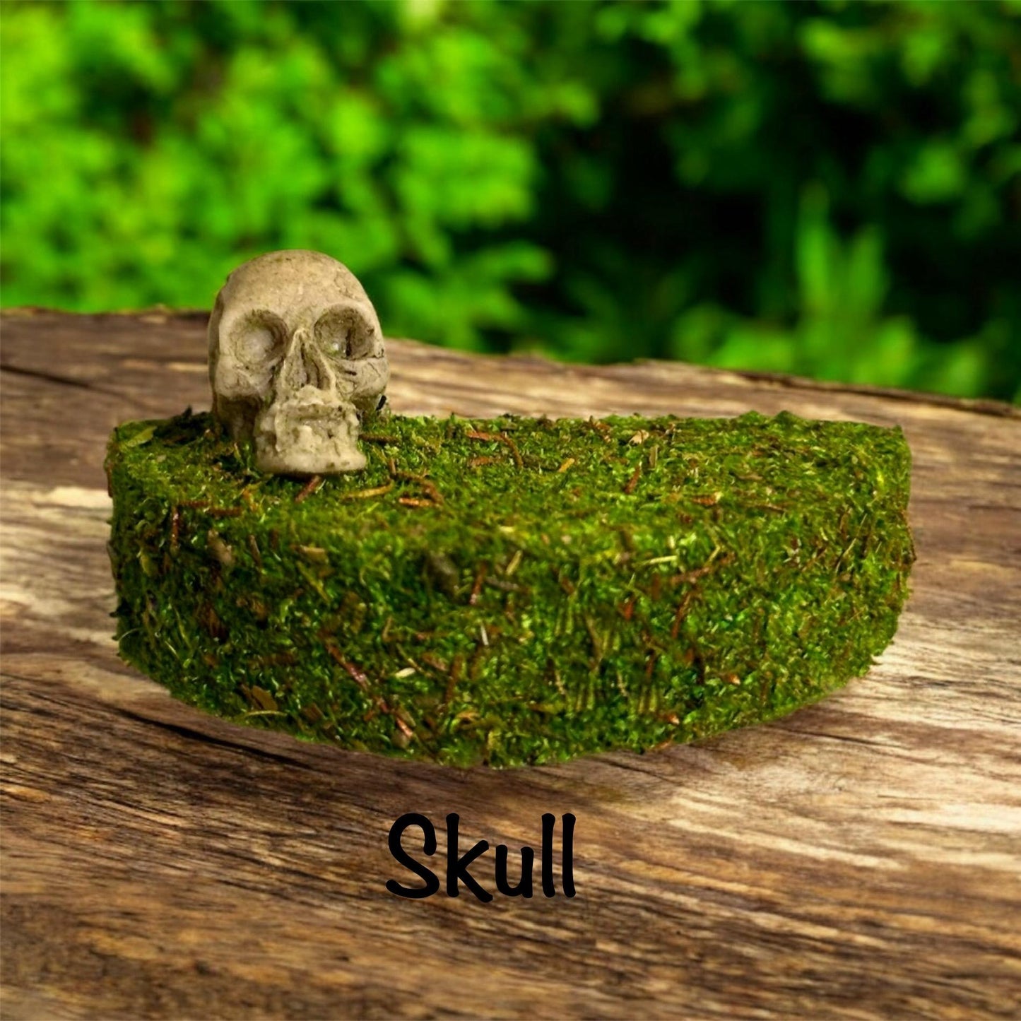 Mossy Ledge for Jumping Spider | Spider Enclosure Decor | Spider Habitat Decor | Enclosure Decor