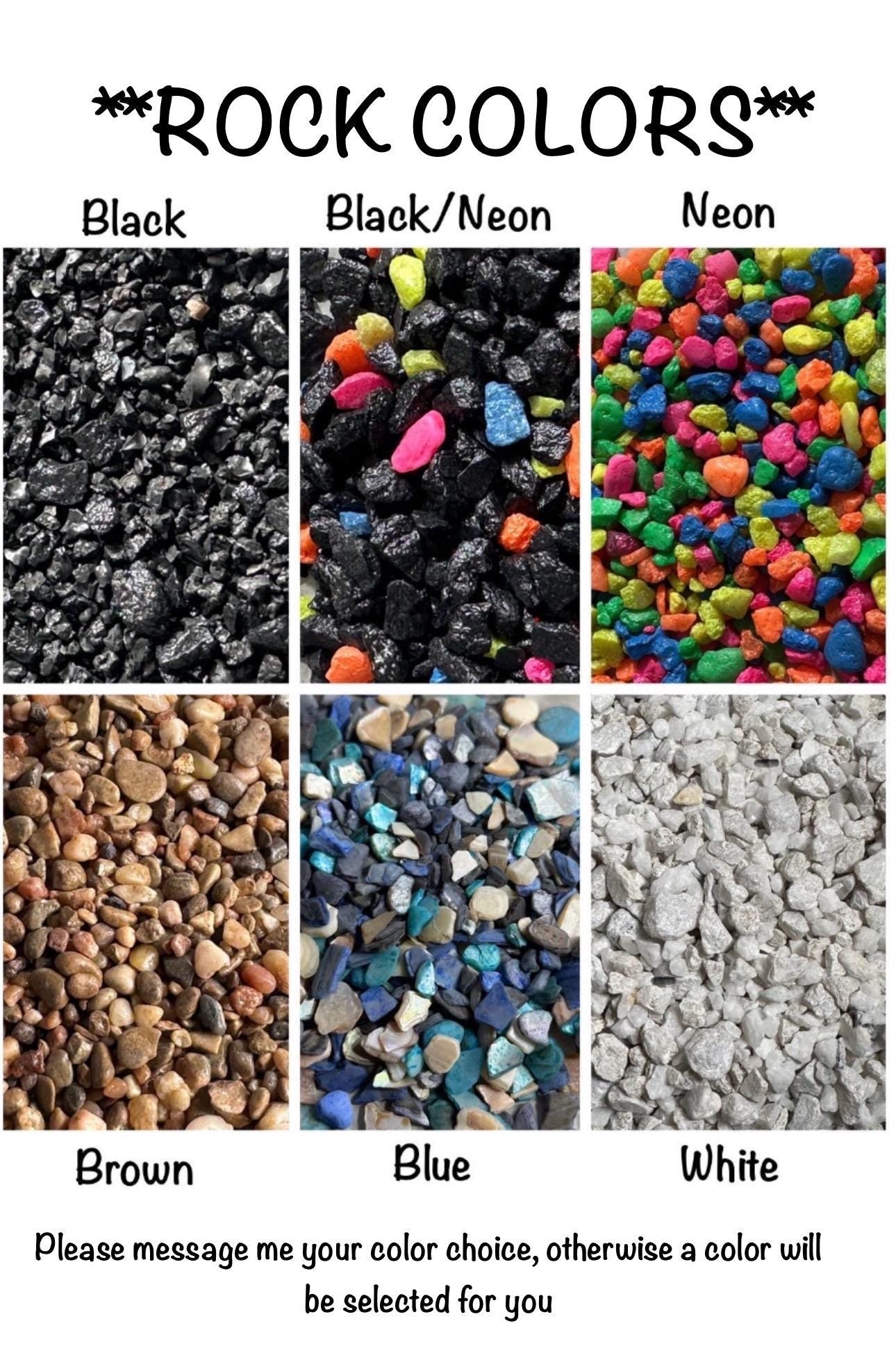 Jumping Spider Feeder Dishes | Spider Feeding Bowls | 41 Color Choices | Enclosure Accessory