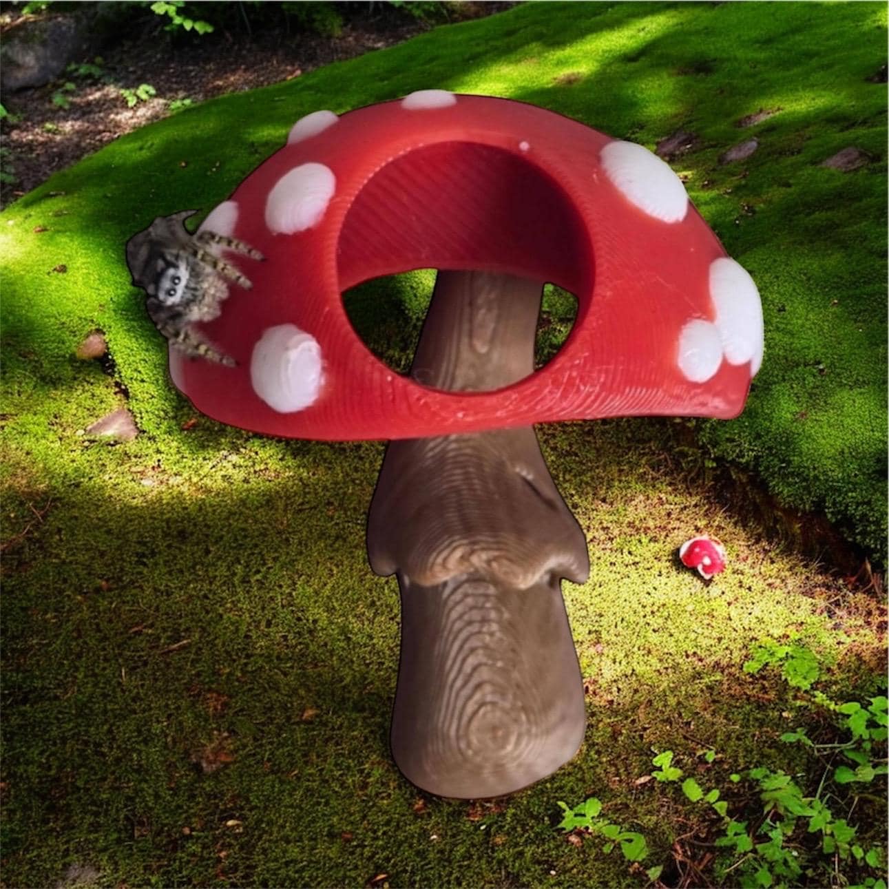 Mushroom Hide | Jumping Spider Habitat | Enclosure Decor